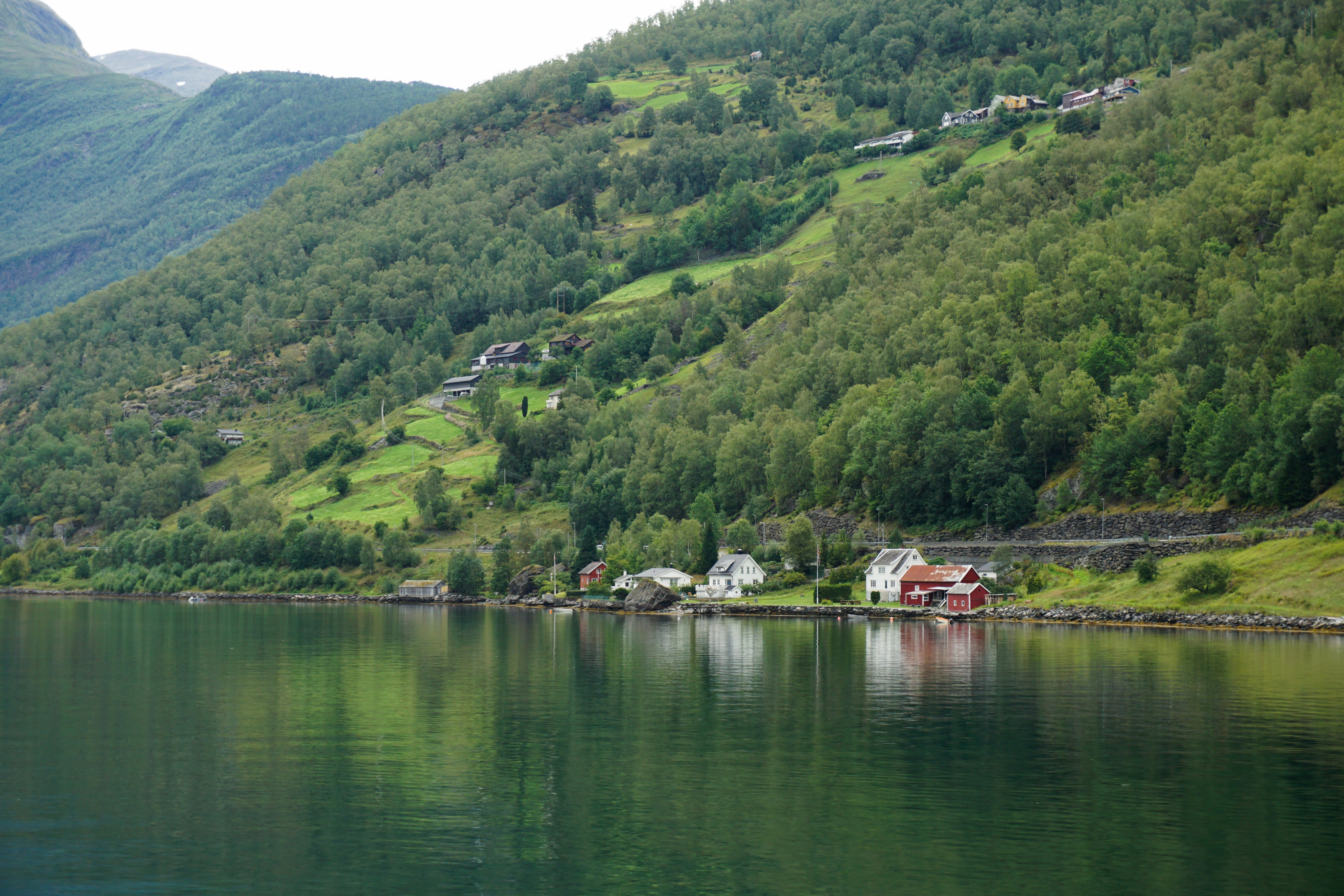 Photo by ritastavares