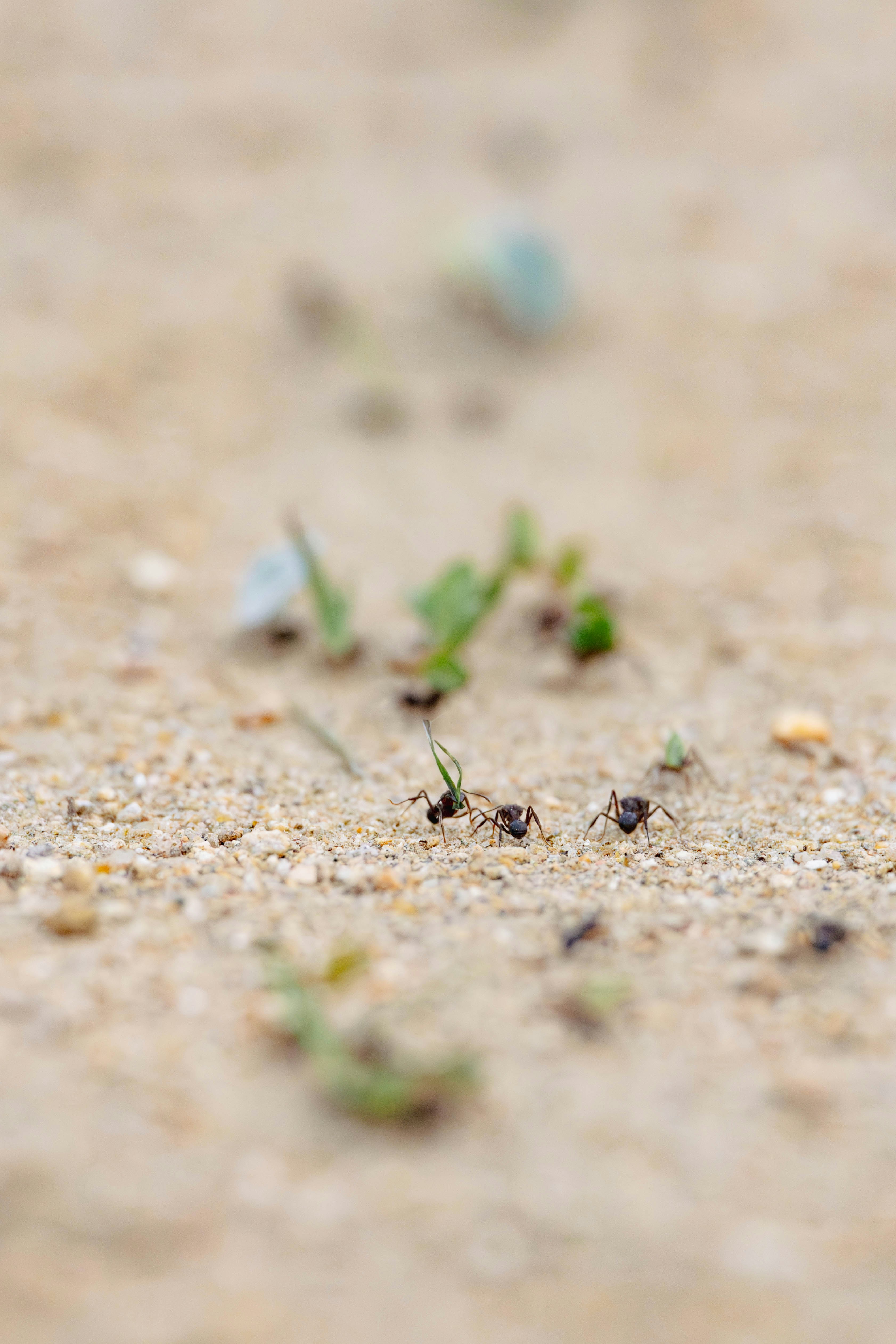 Photo by matheuskprot