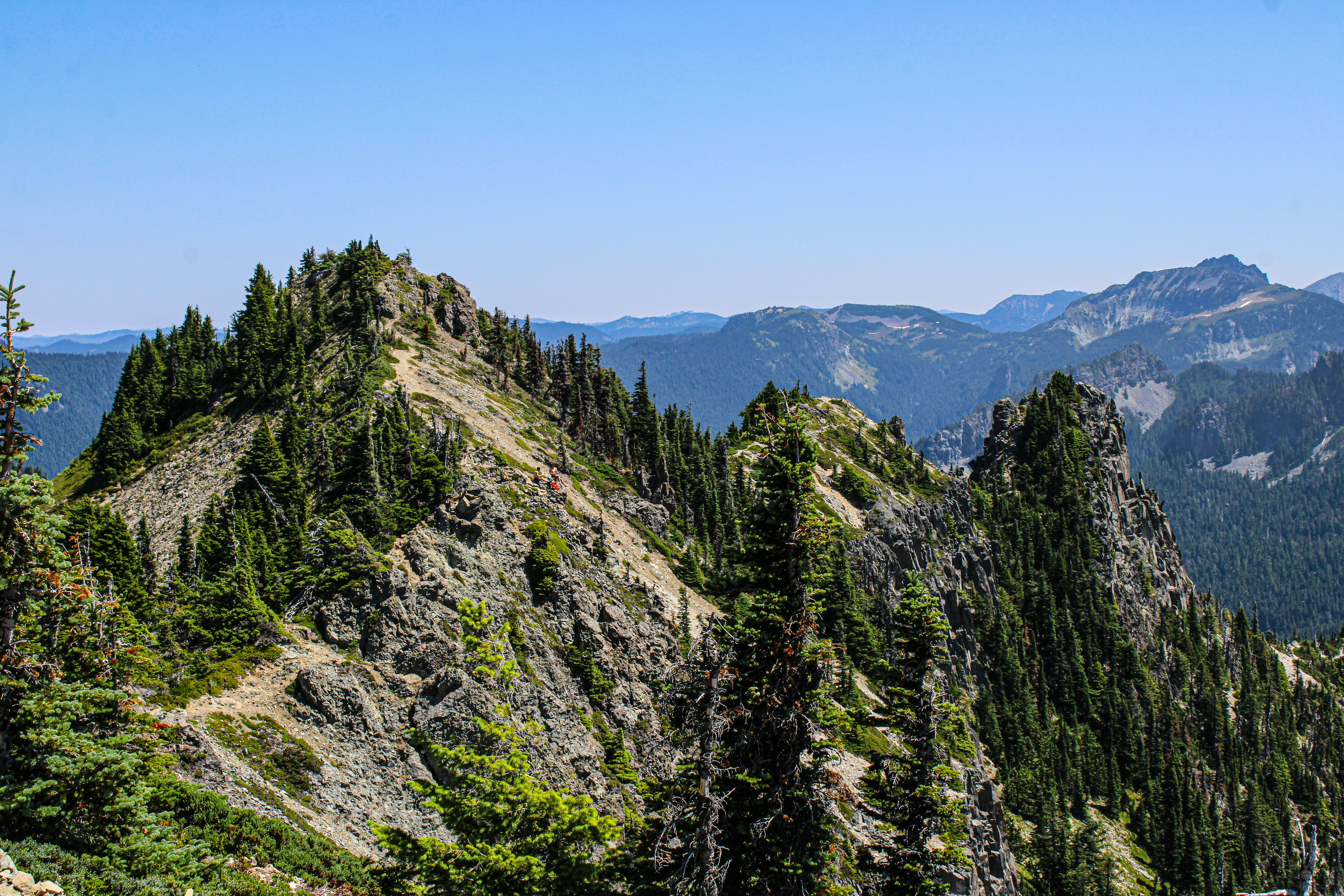 Photo by prphotography262