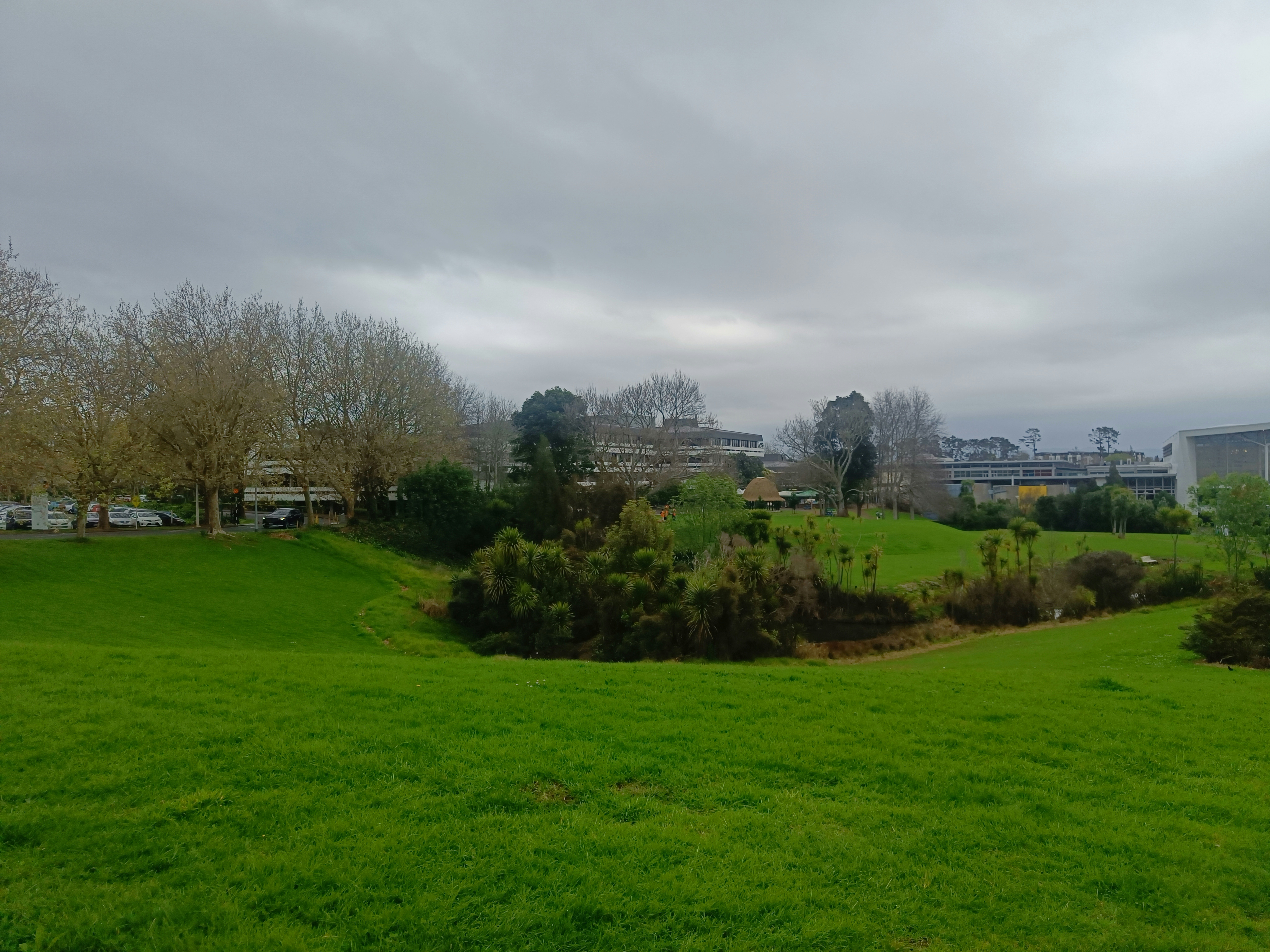 Photo by vamseedharg