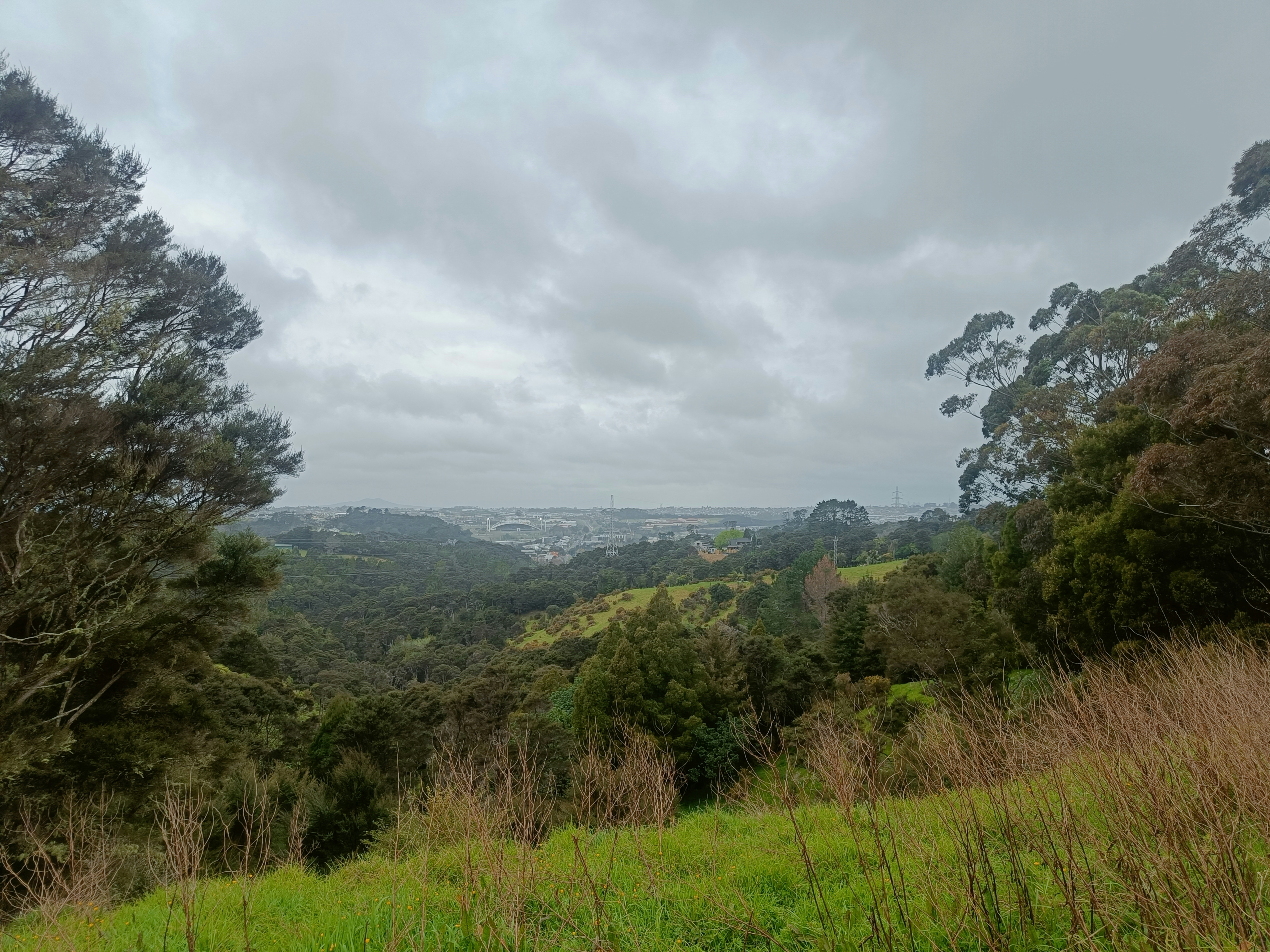 Photo by vamseedharg