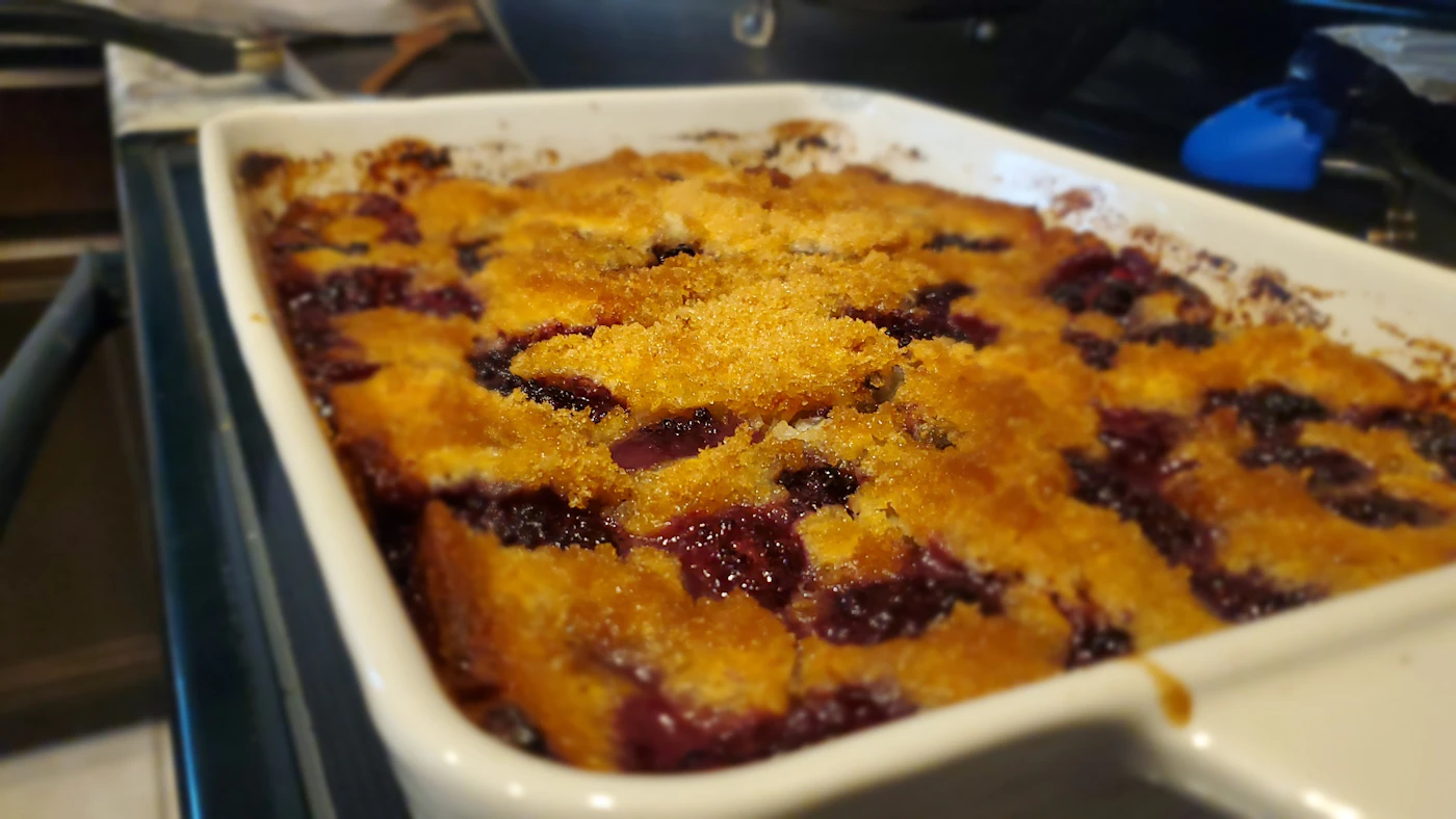 Blackberry and blueberry cornmeal cobbler in a white rectangular baking dish with a crisp golden sugar crust