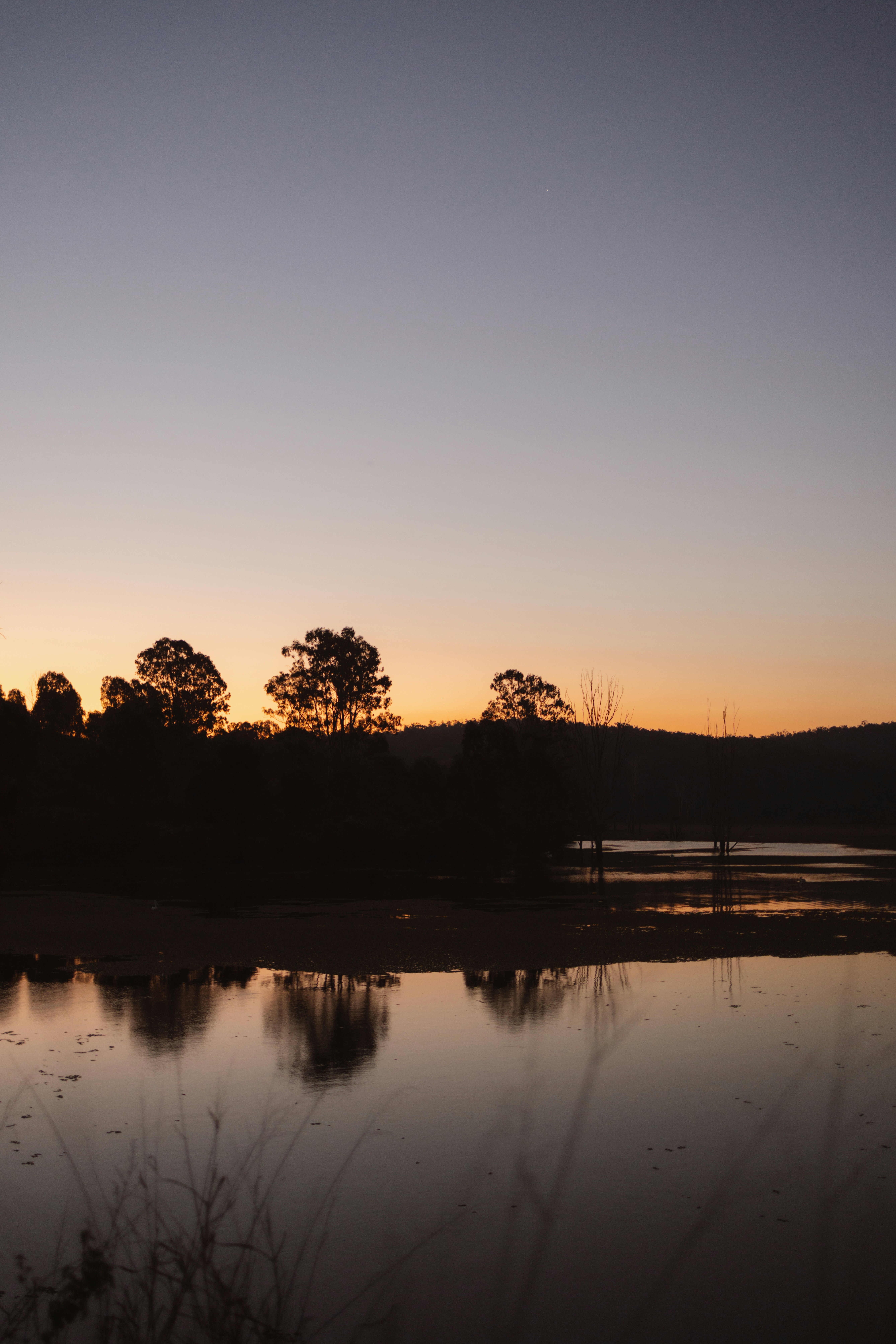 Photo by joshwithers