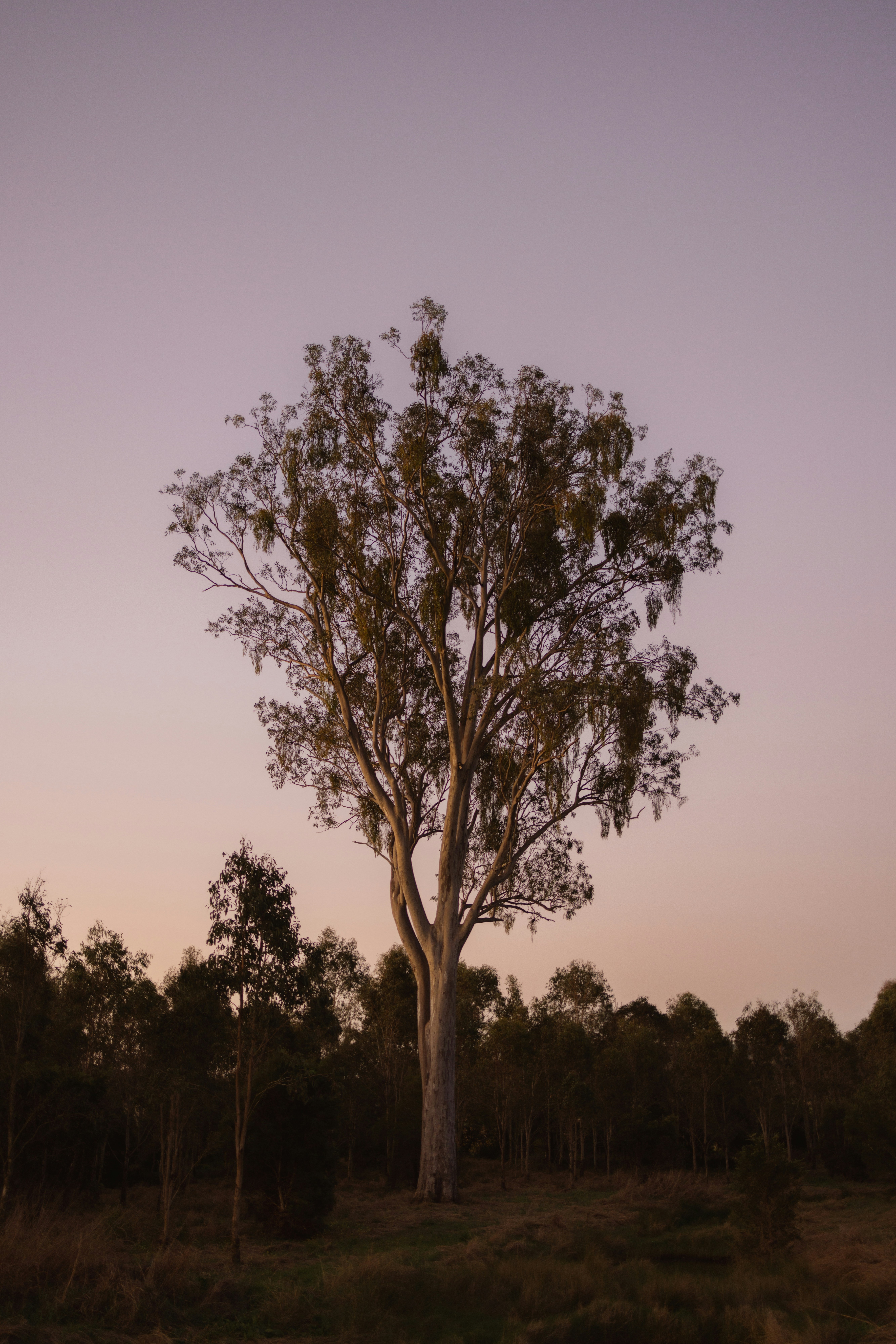 Photo by joshwithers