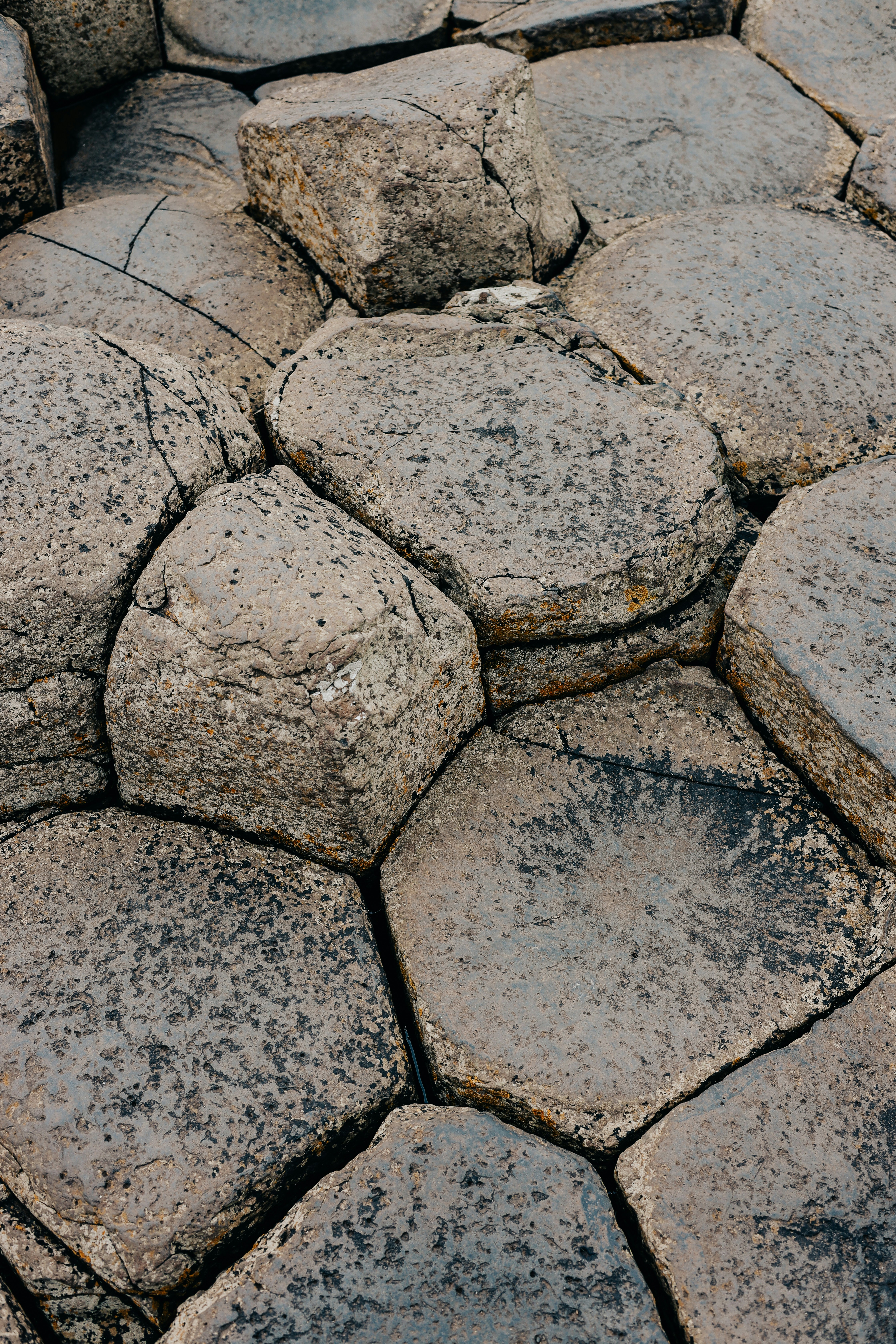 Photo by secondsight