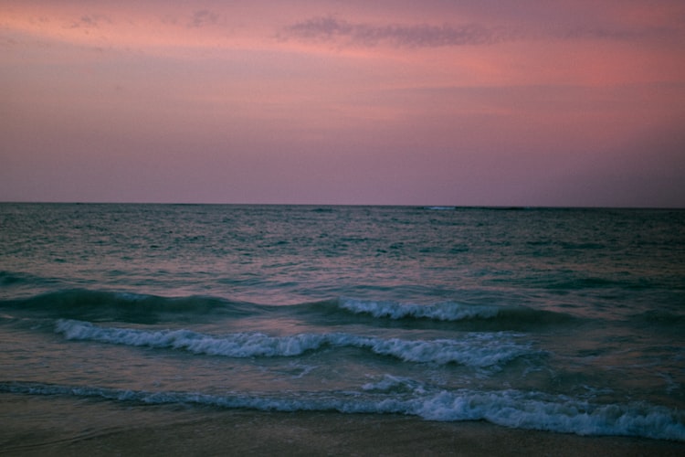 Rosalie Bay Eco Resort resort