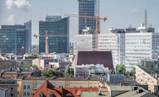 A view of a city with a lot of tall buildings
