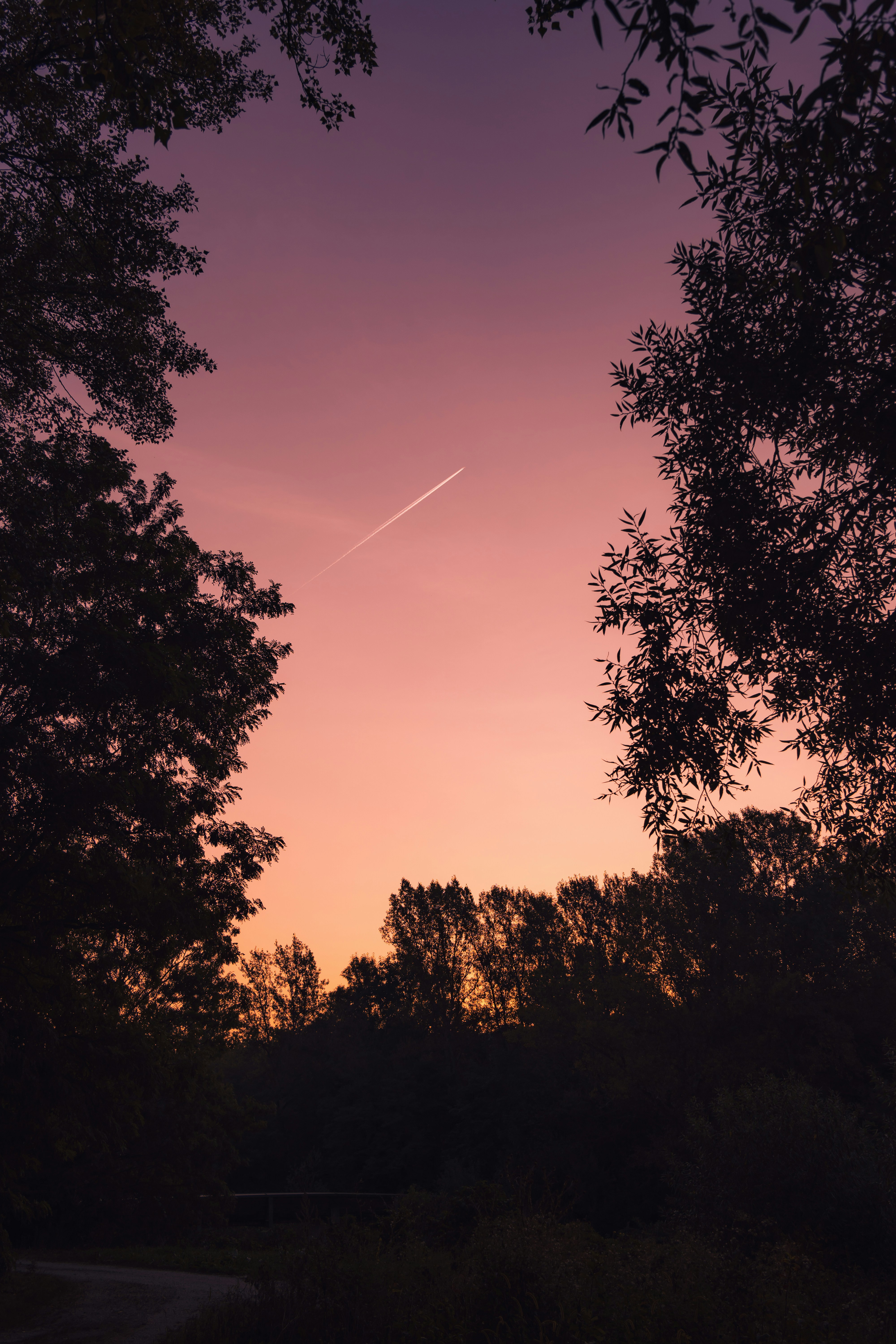 Photo by pino_rumbero