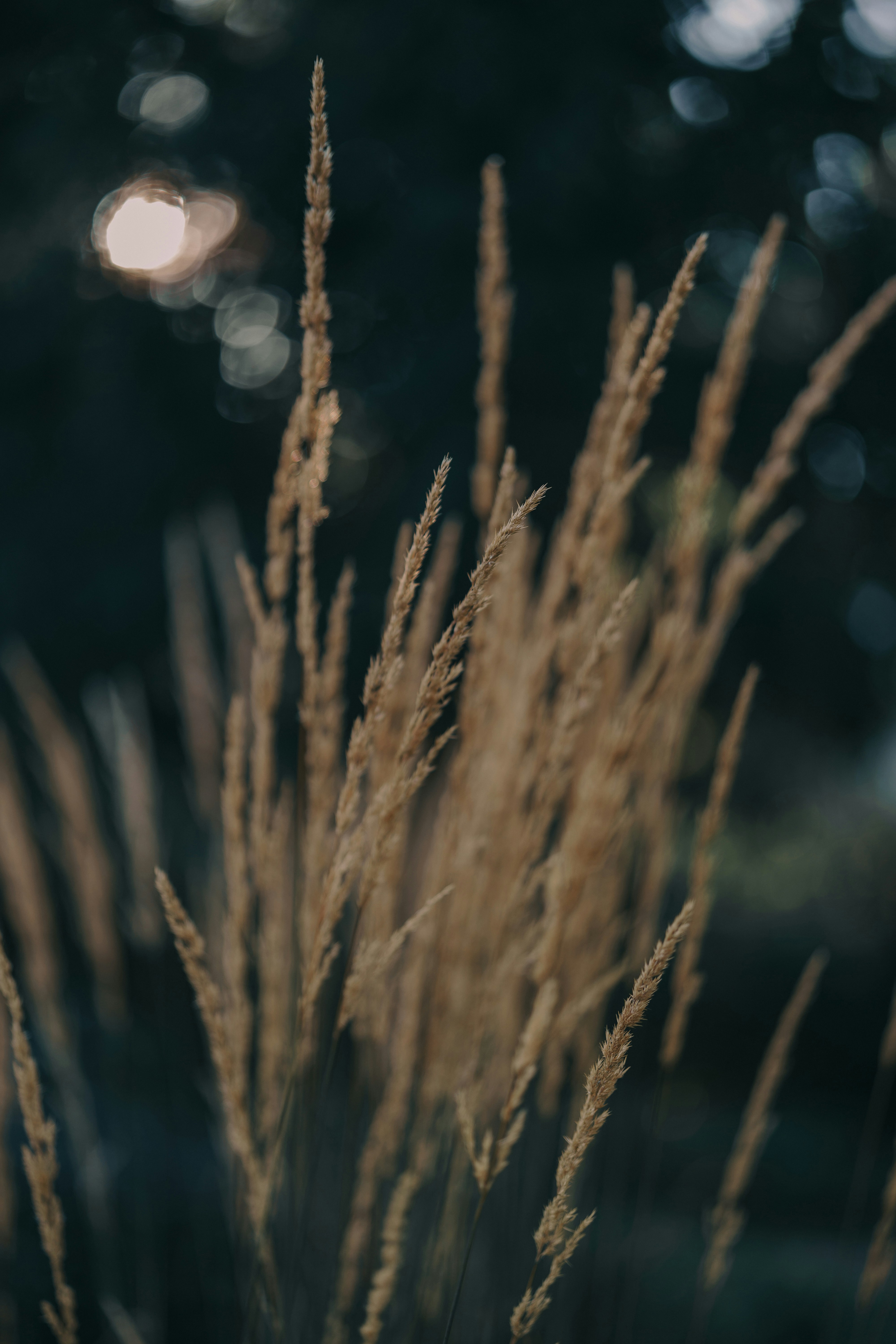 Photo by bangscreative