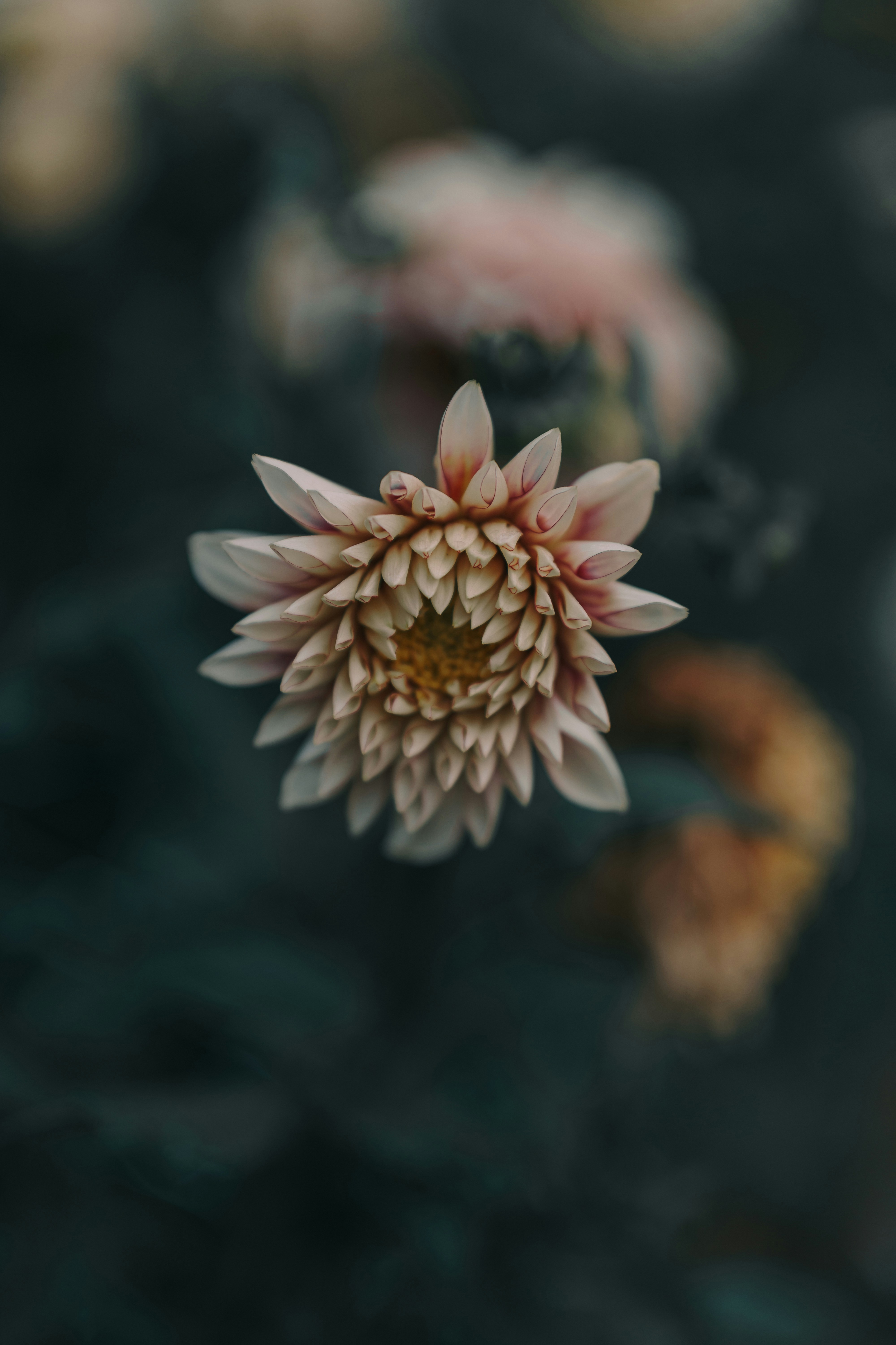 Photo by bangscreative