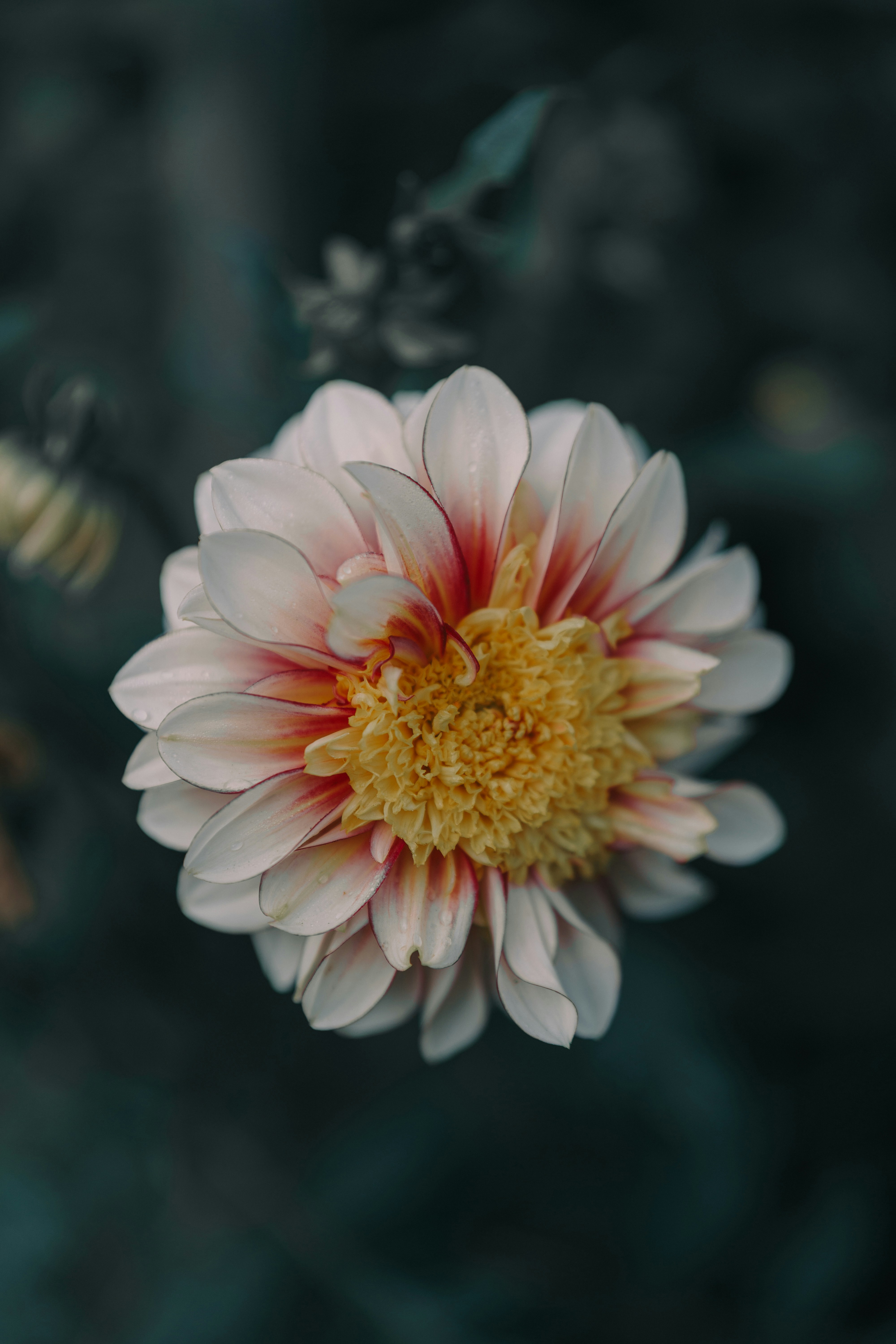 Photo by bangscreative