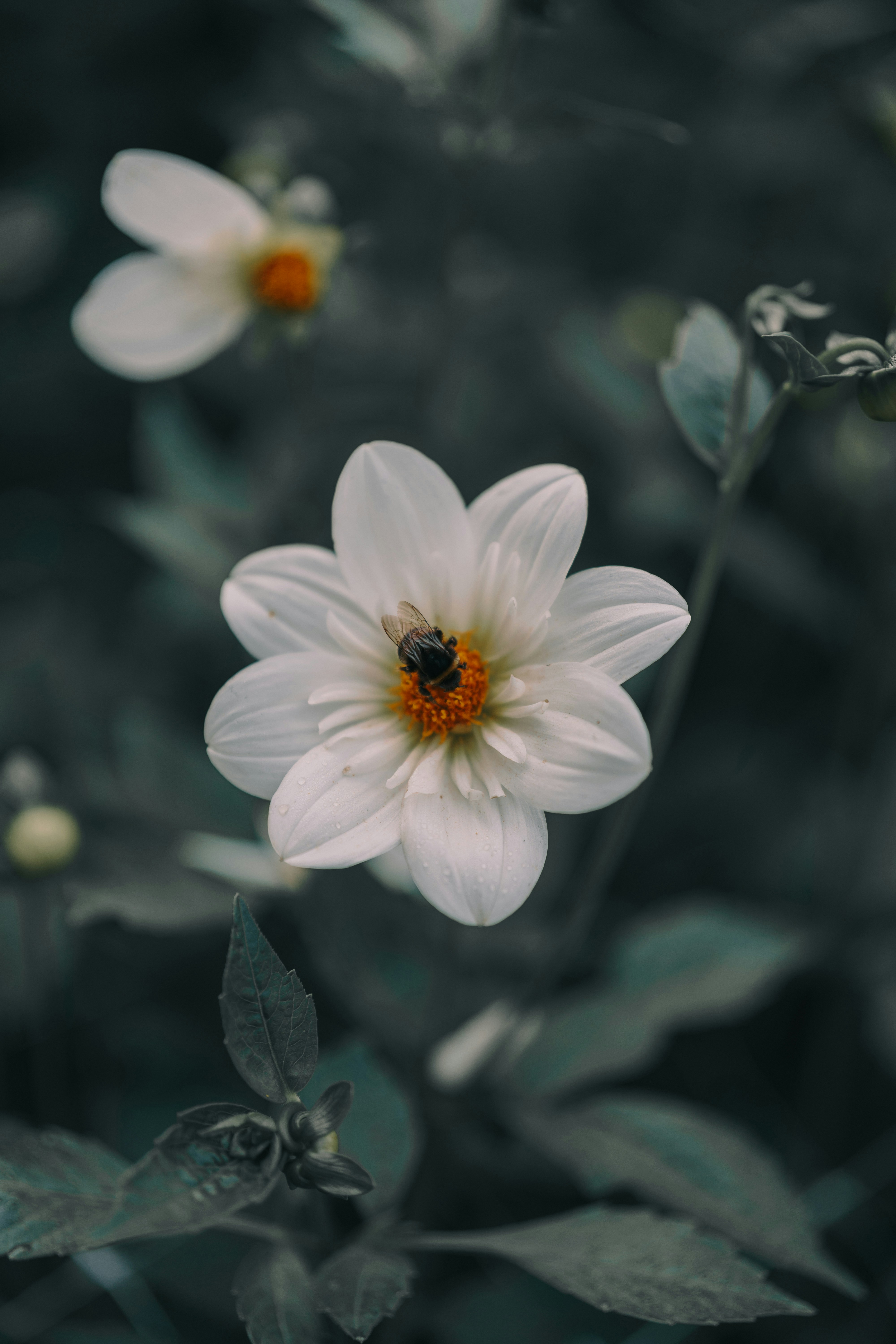 Photo by bangscreative