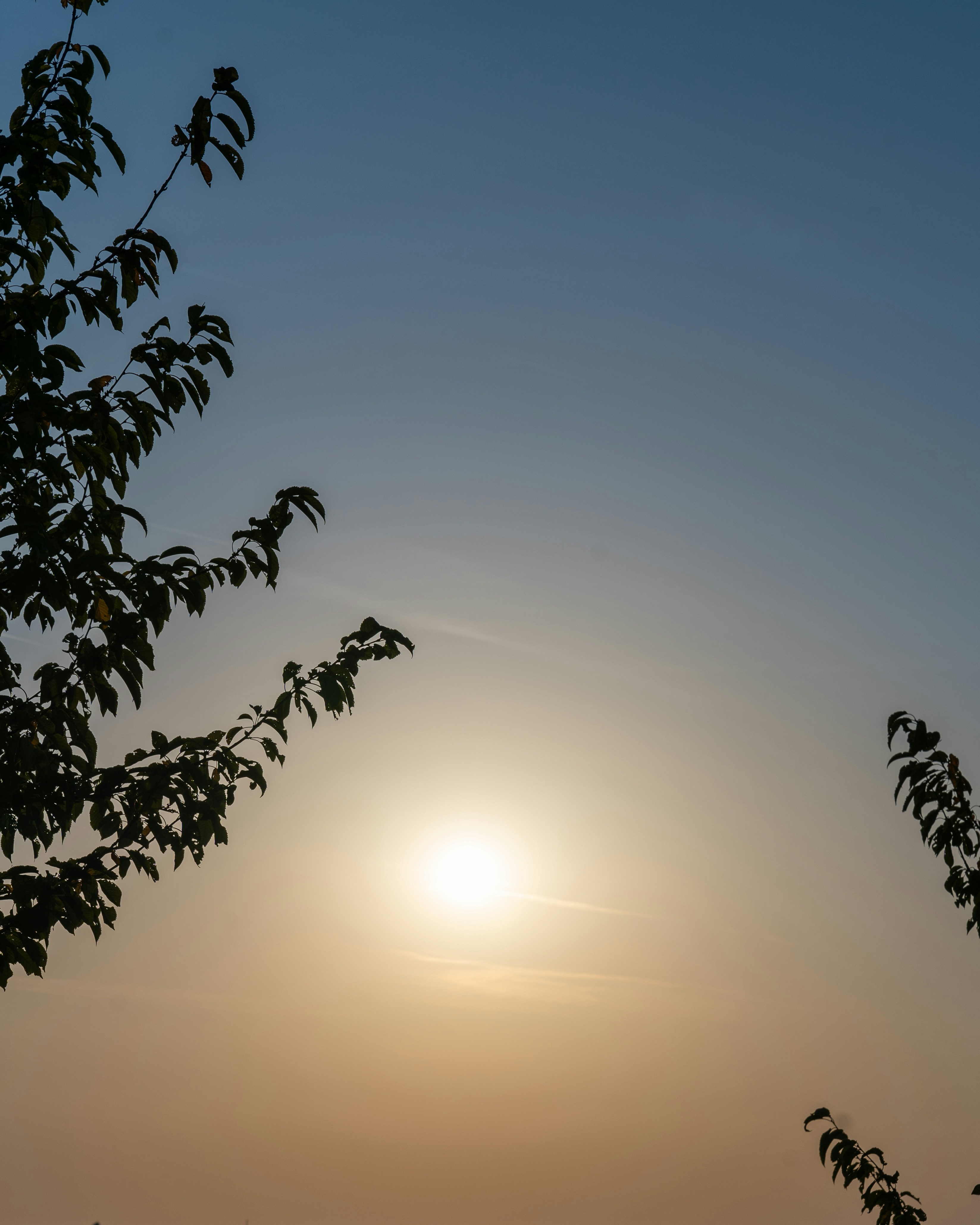 Photo by bangscreative