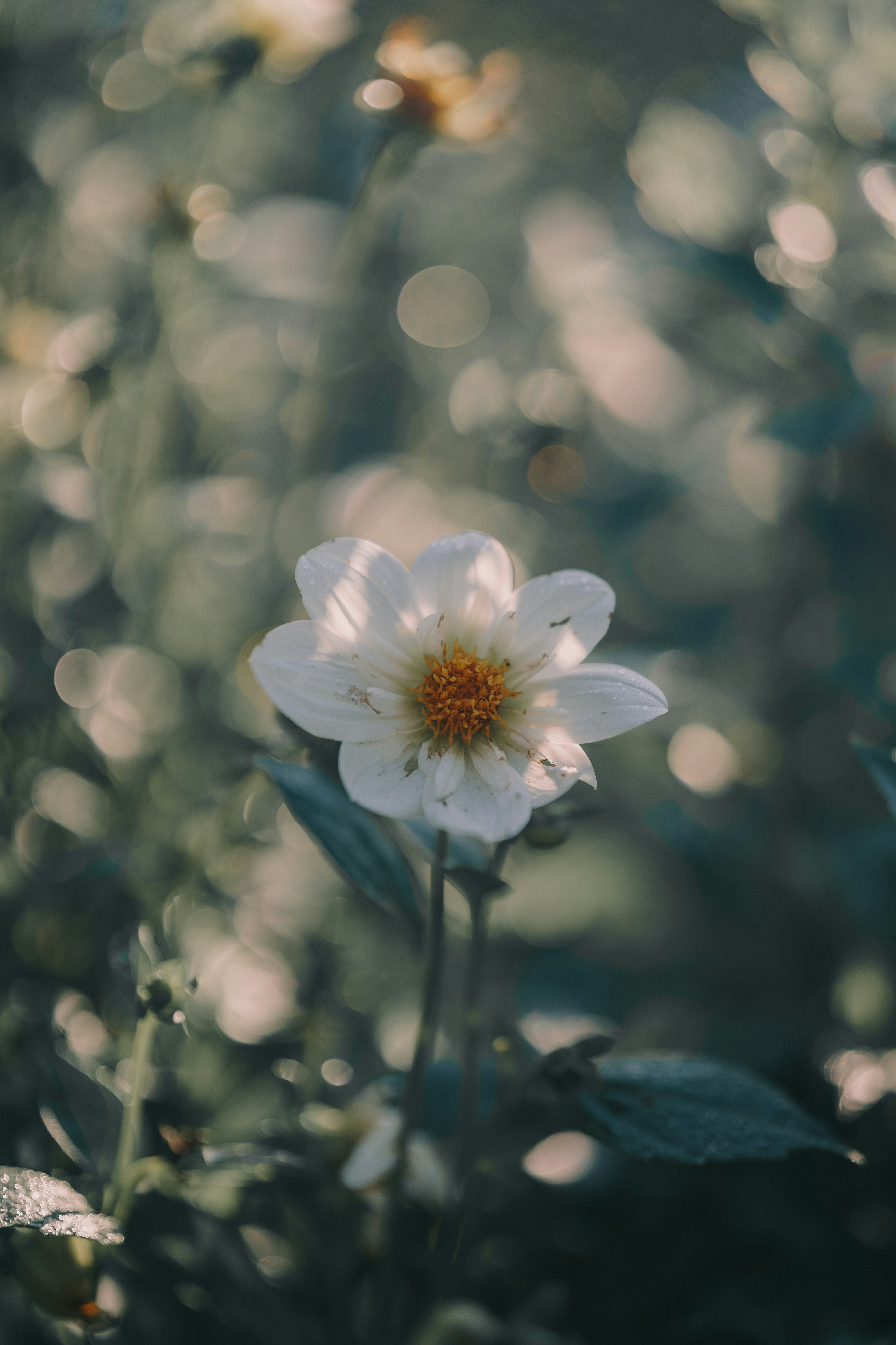 Photo by bangscreative