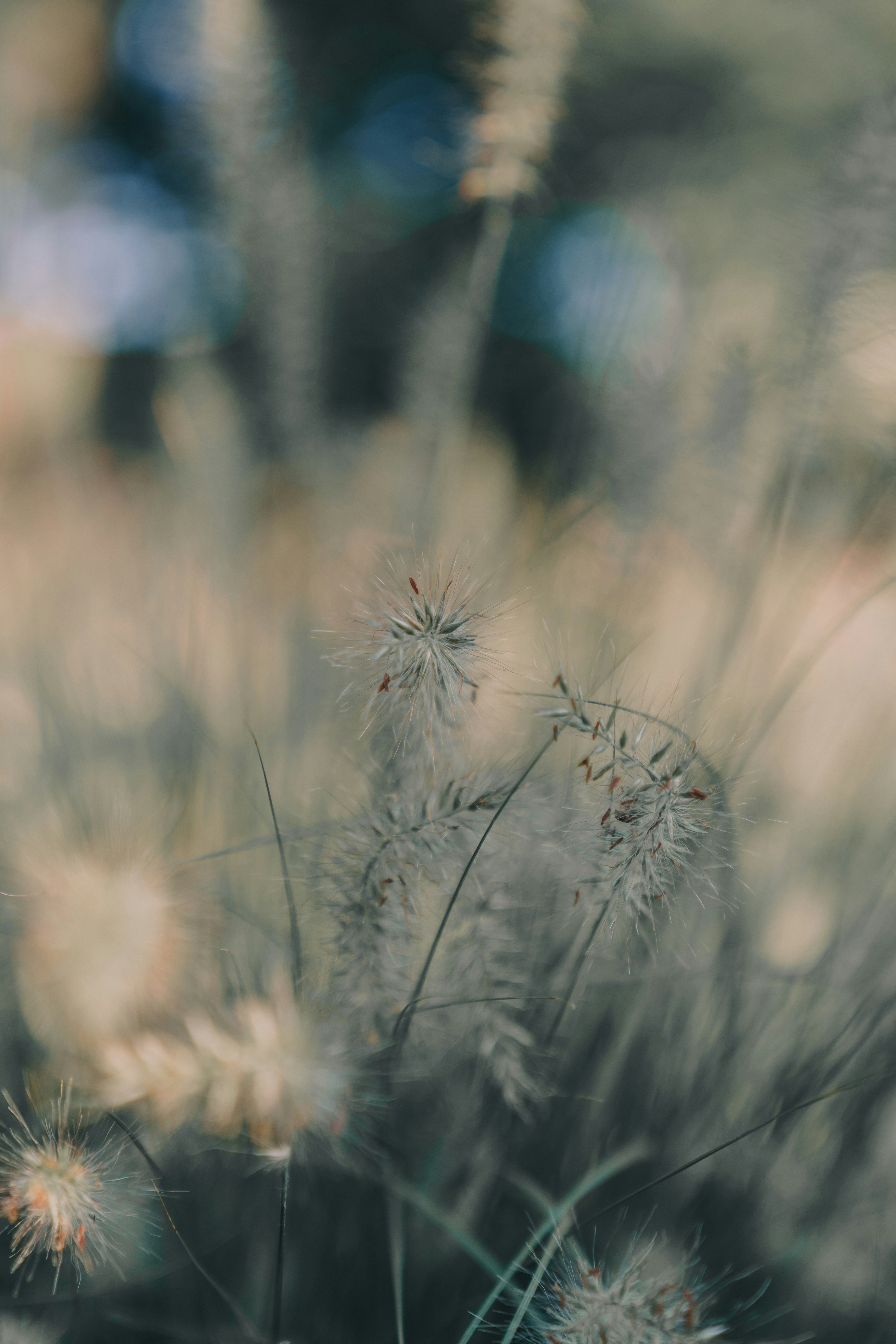 Photo by bangscreative