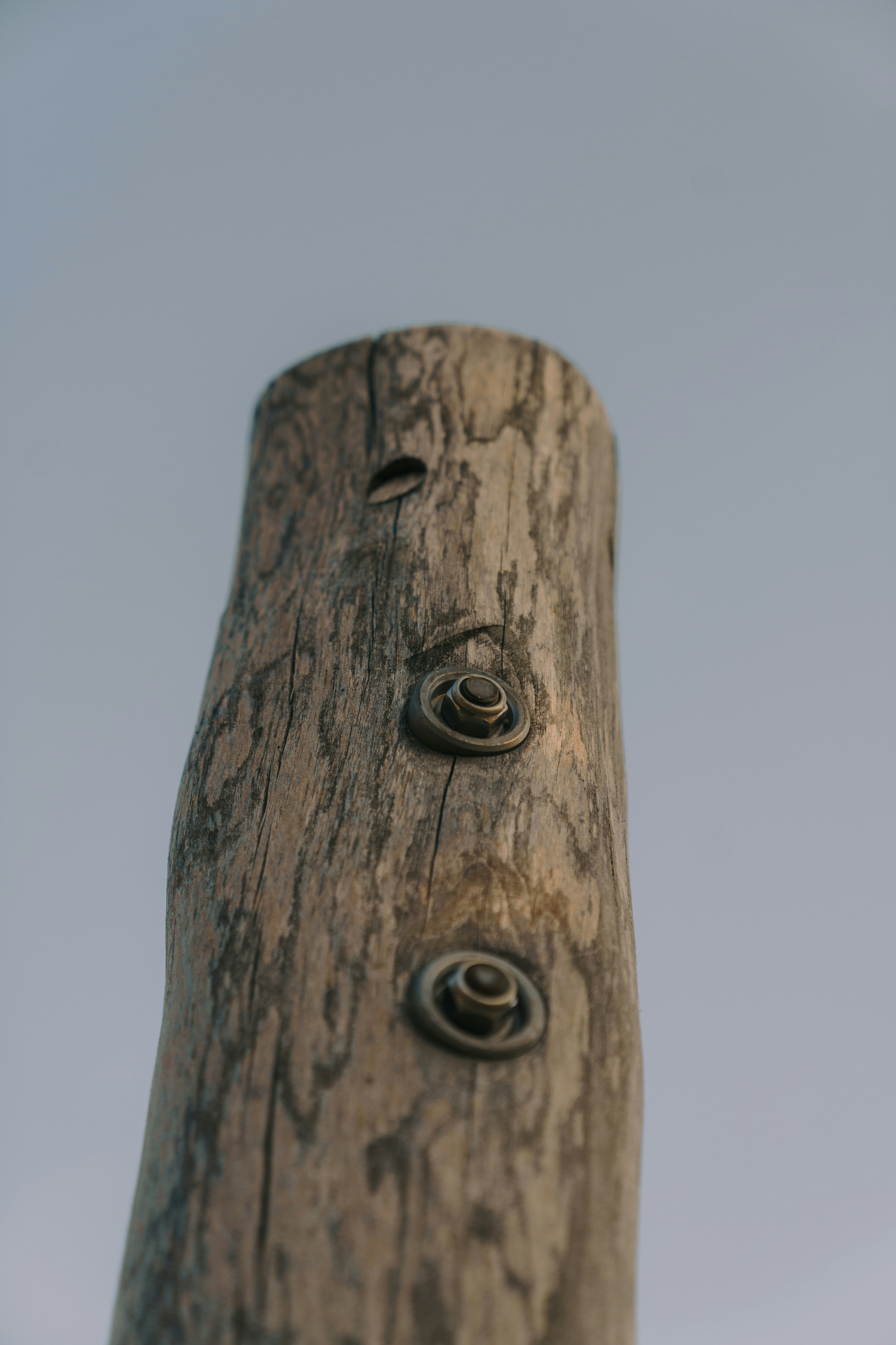 A close up of a piece of wood with holes in it