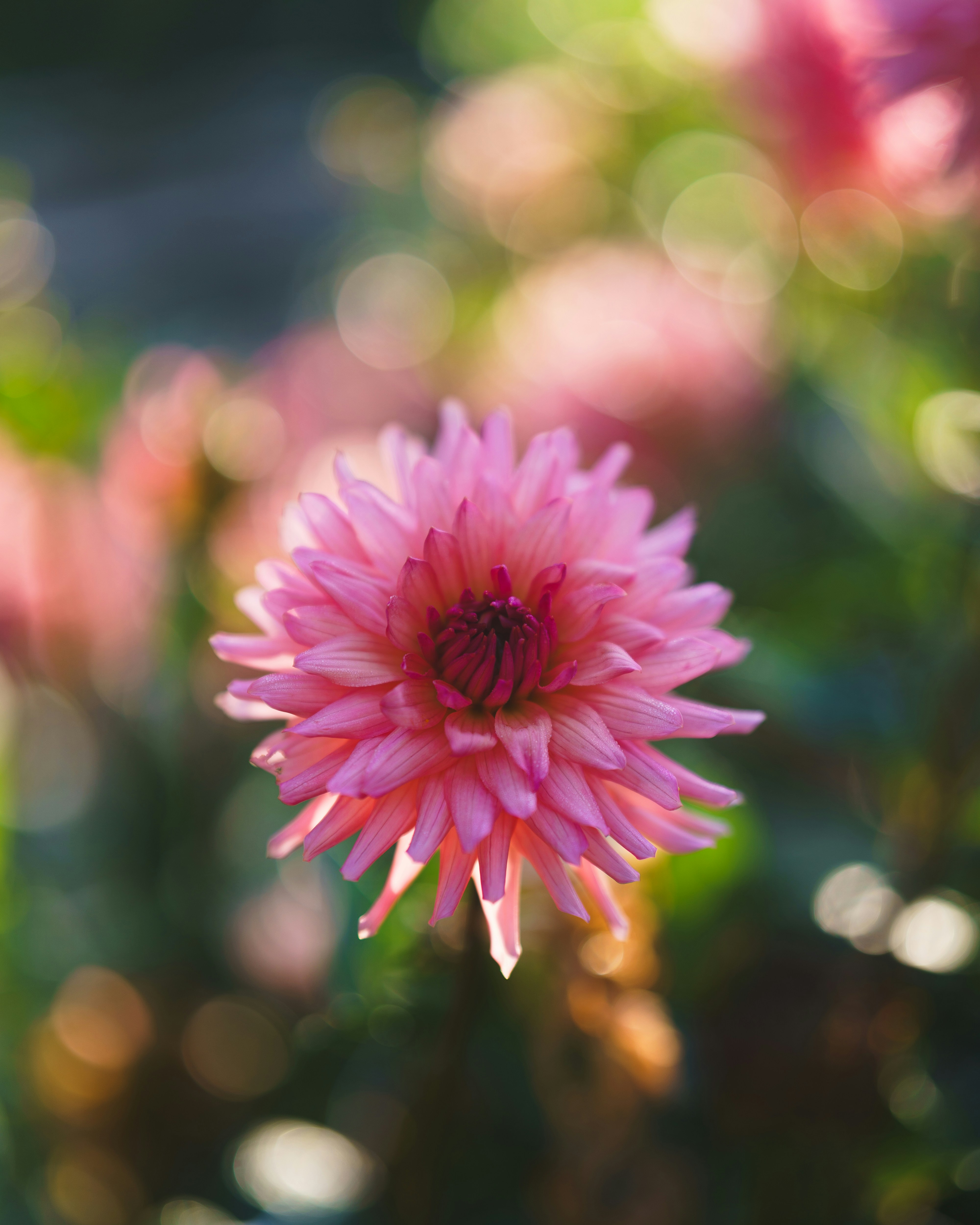 Photo by bangscreative