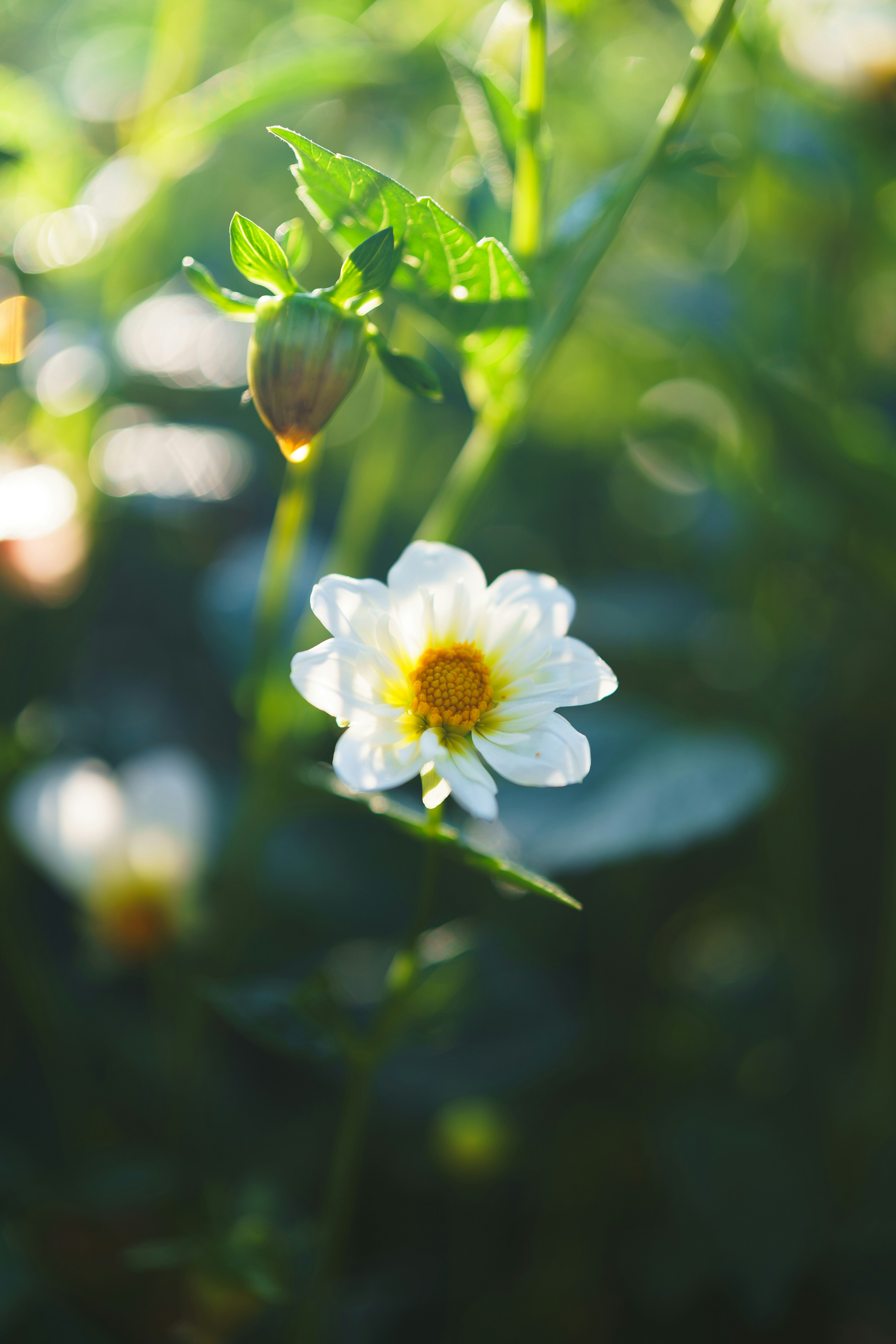 Photo by bangscreative