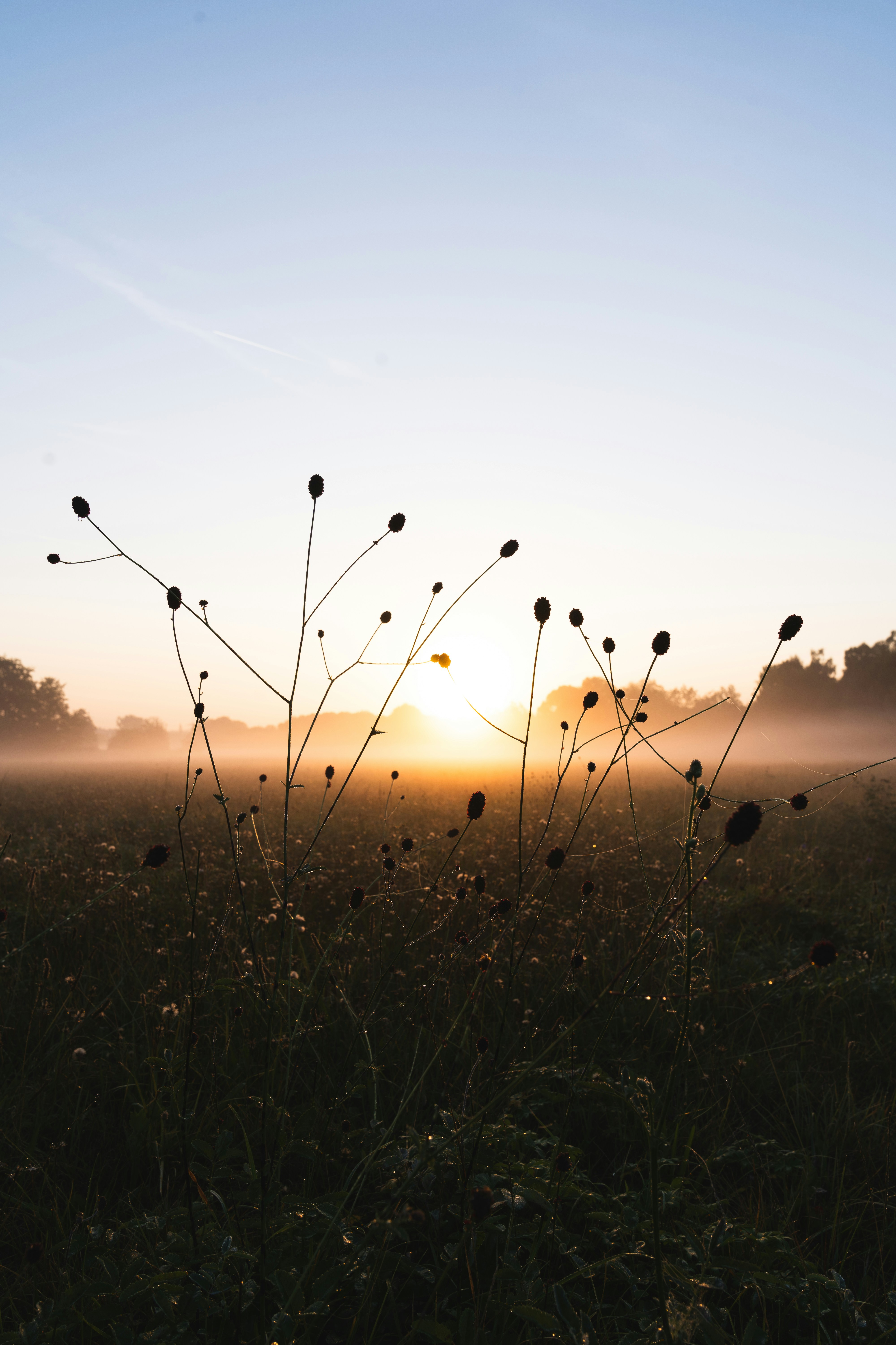 Photo by bangscreative