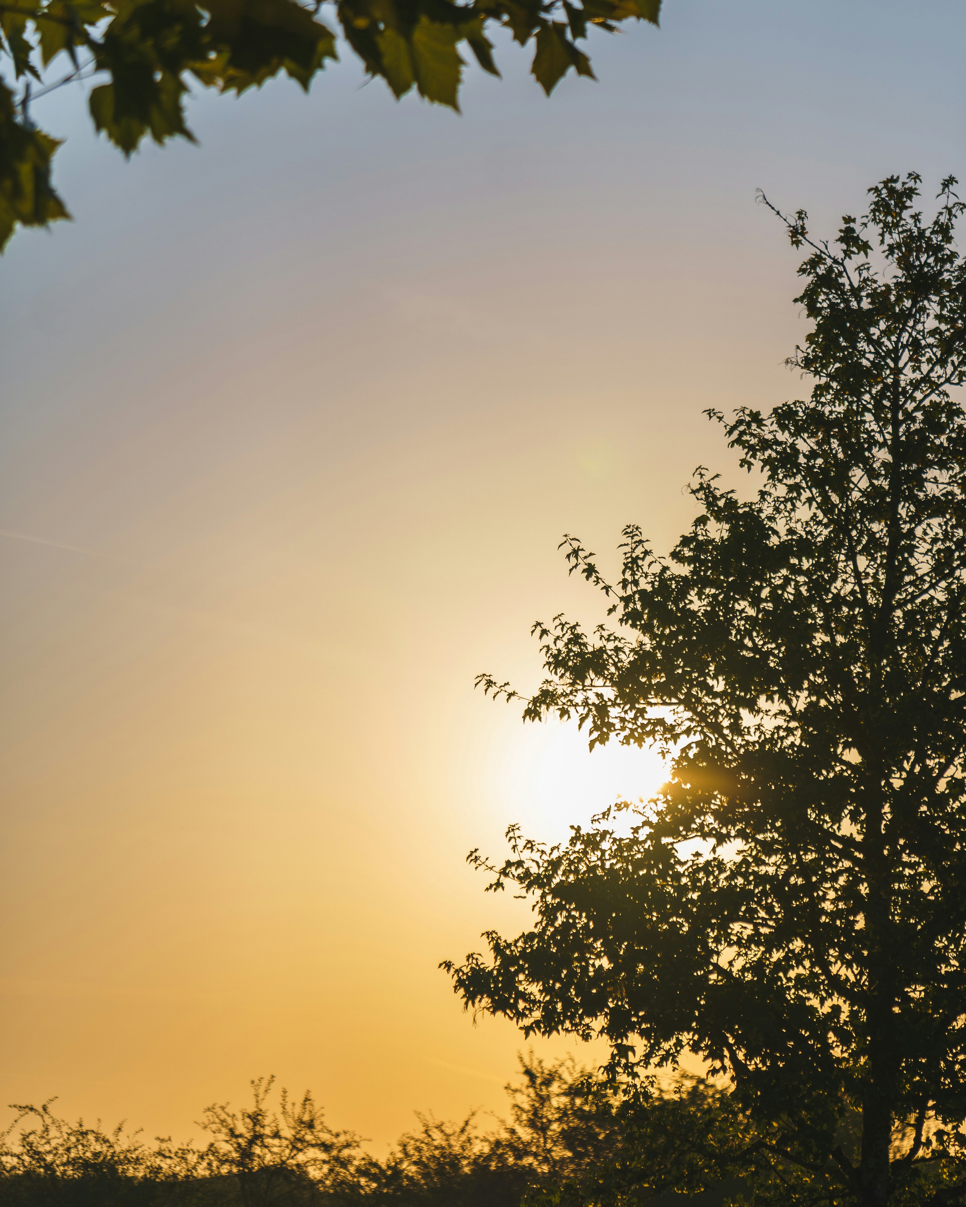 Photo by bangscreative