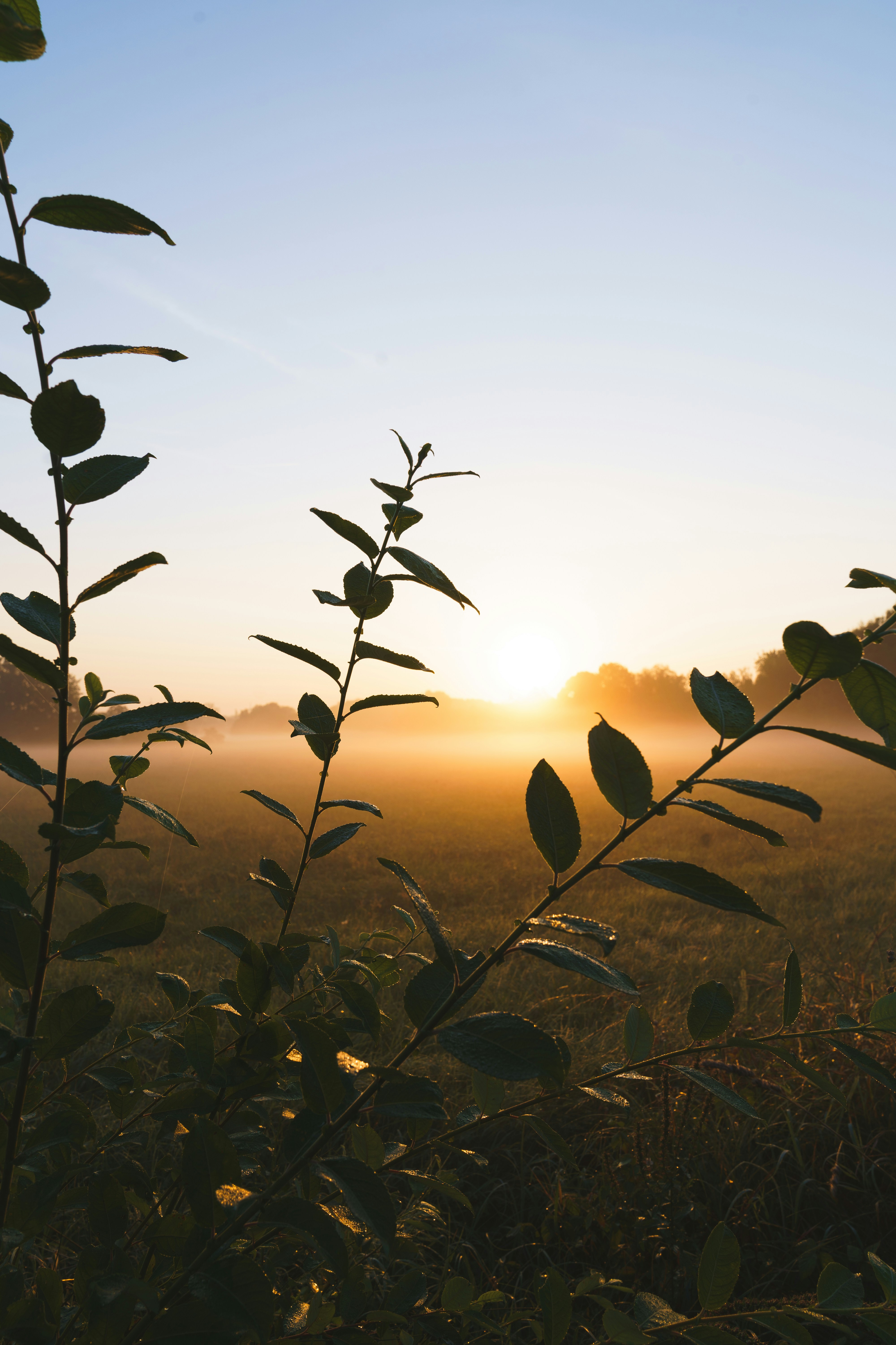 Photo by bangscreative