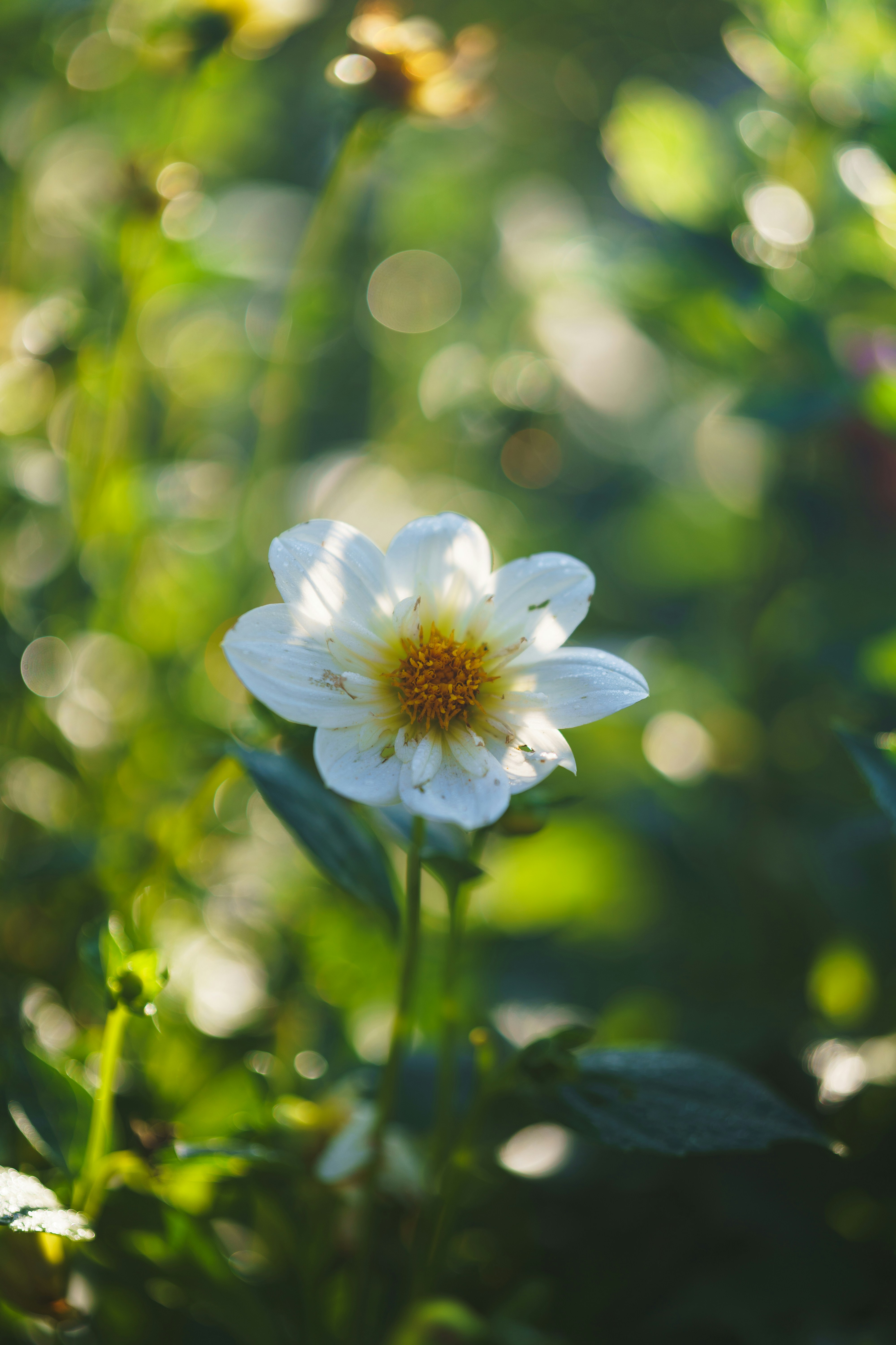 Photo by bangscreative