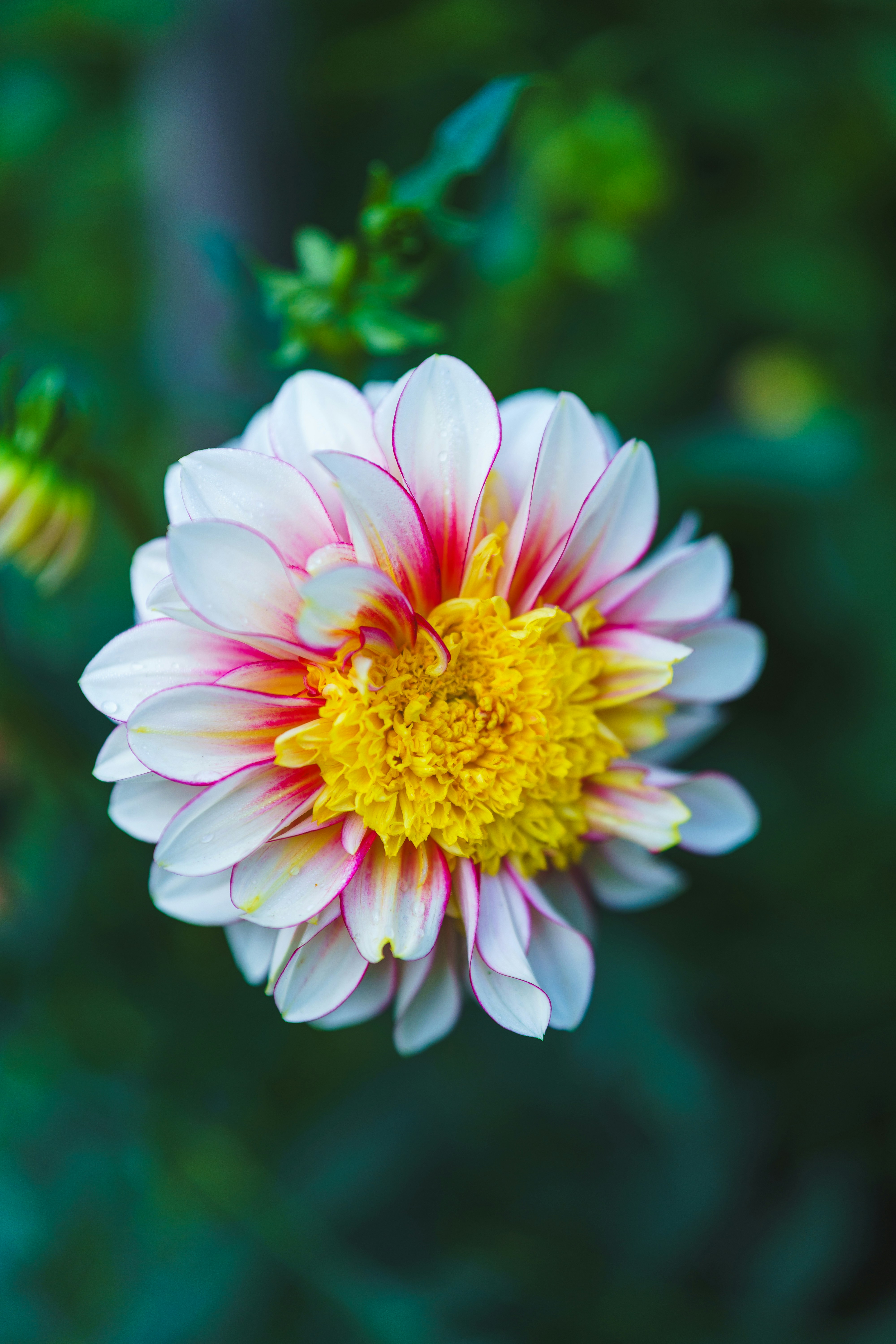 Photo by bangscreative