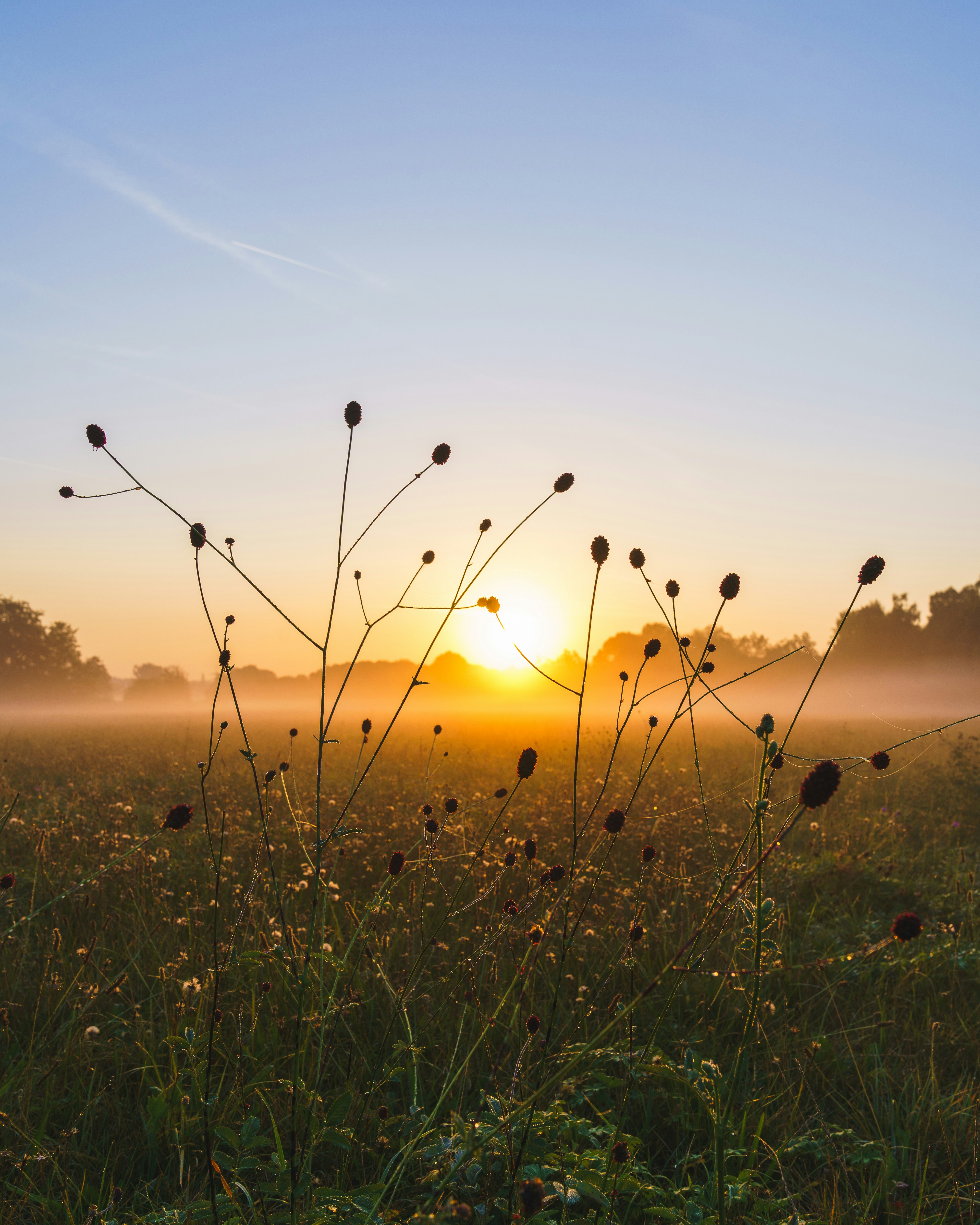 Photo by bangscreative