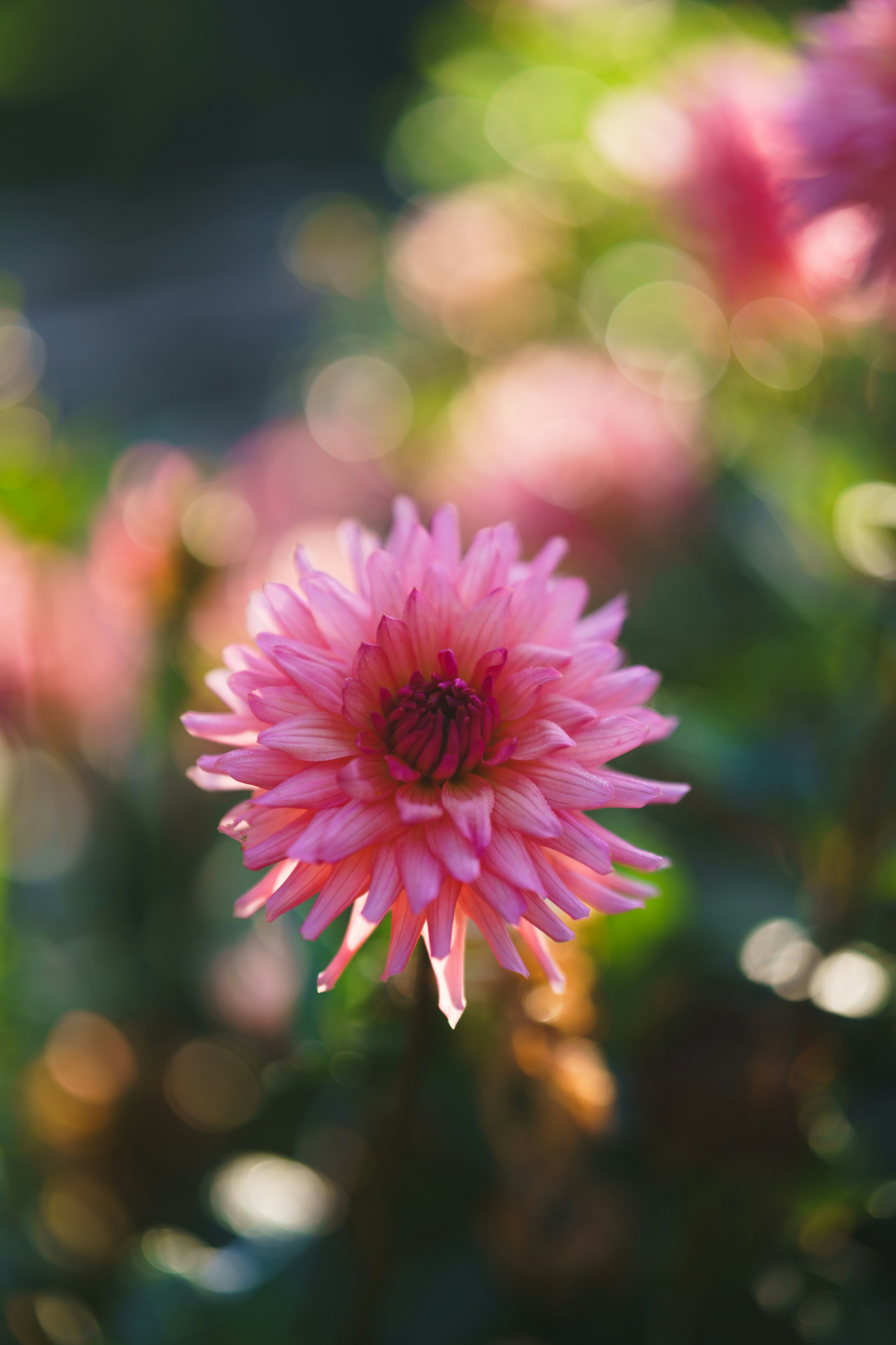 Photo by bangscreative