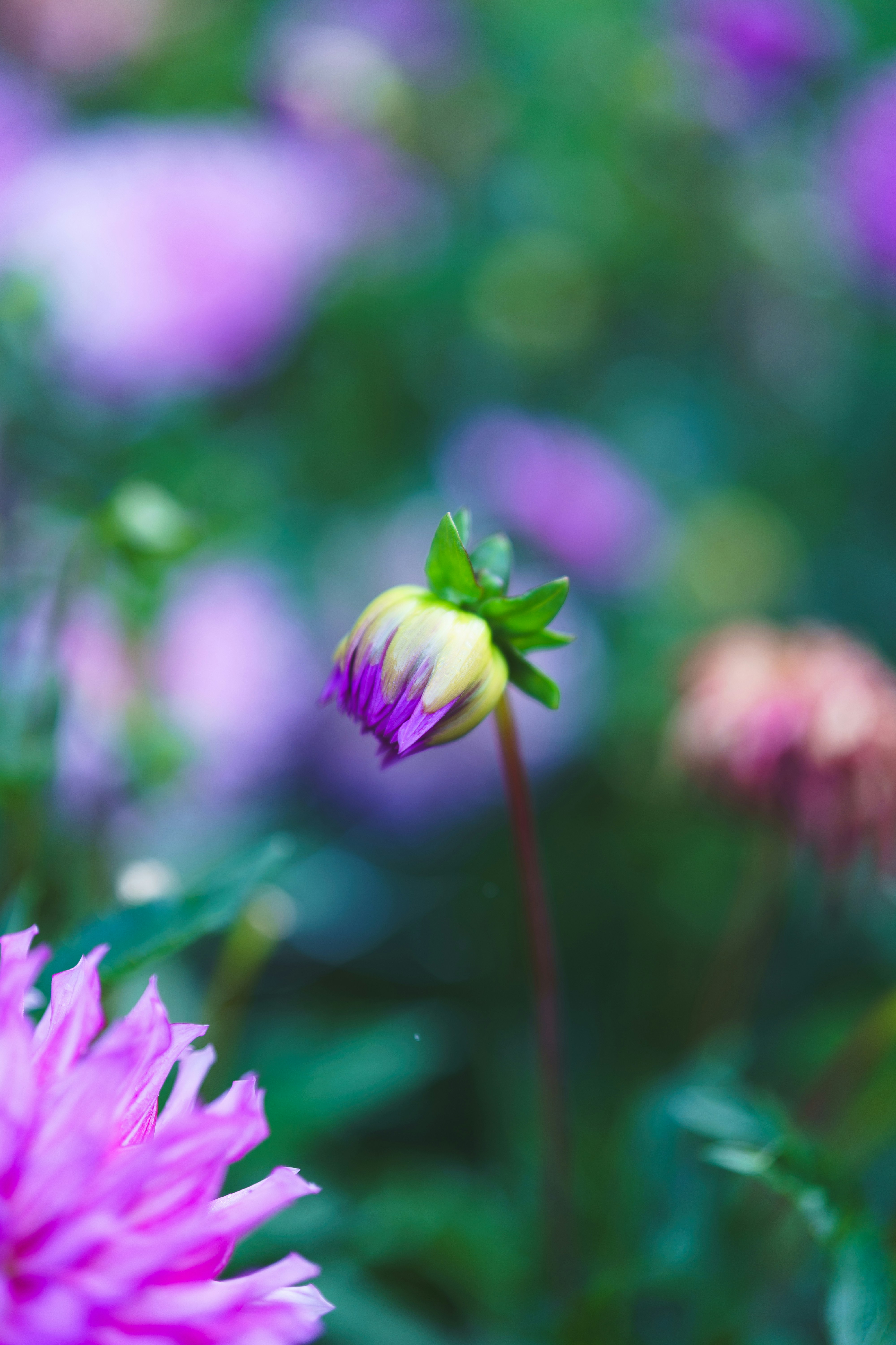 Photo by bangscreative