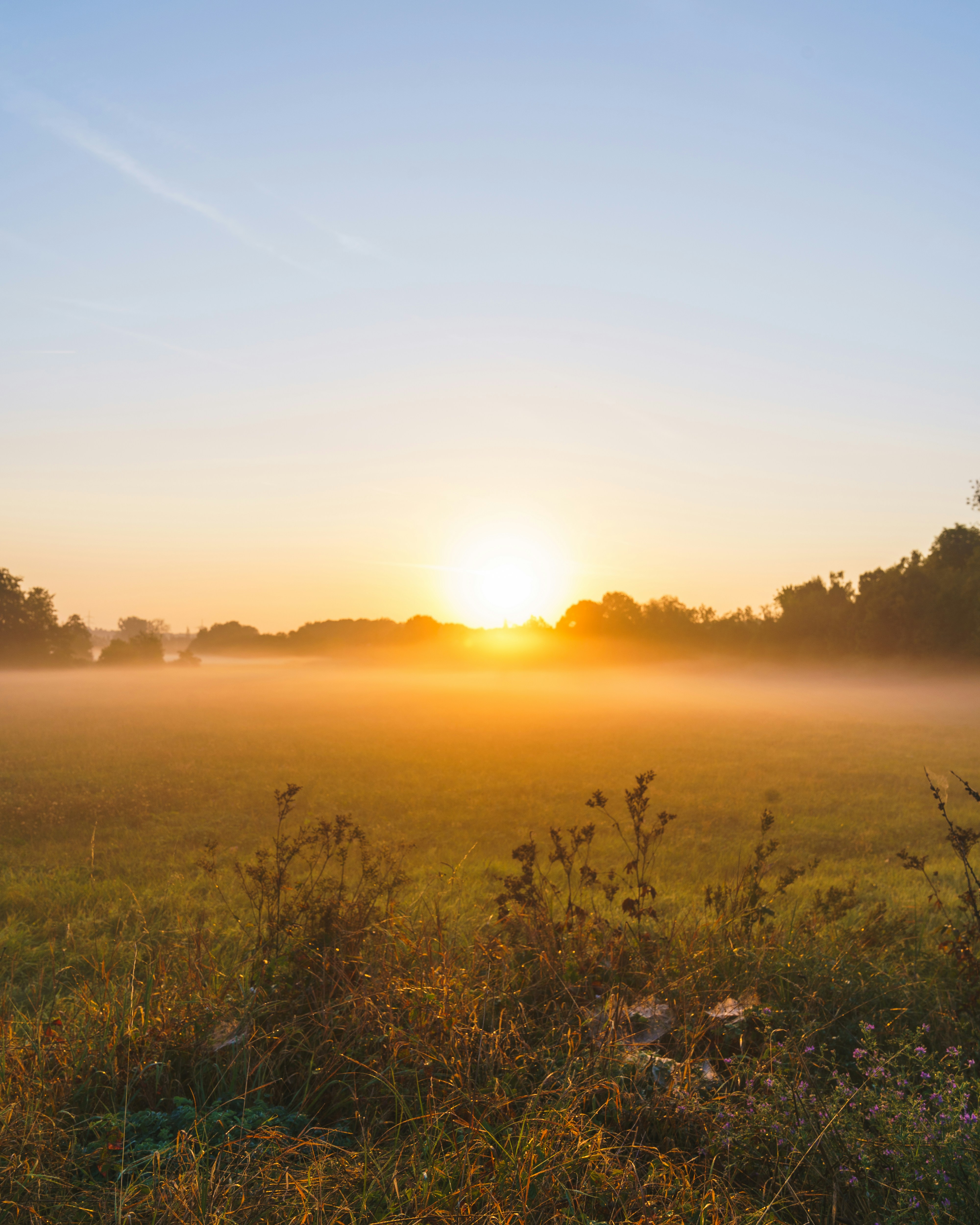 Photo by bangscreative