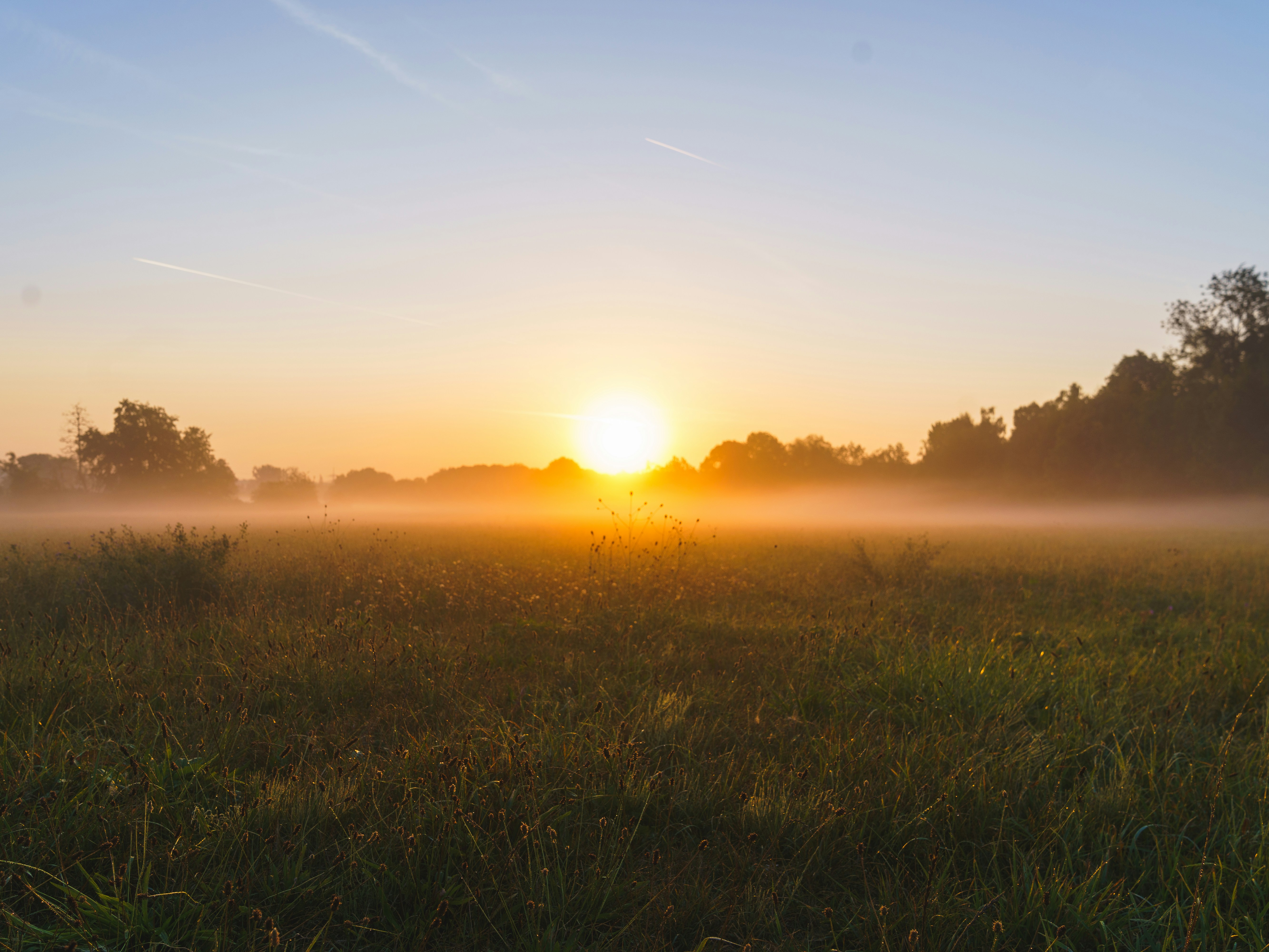 Photo by bangscreative