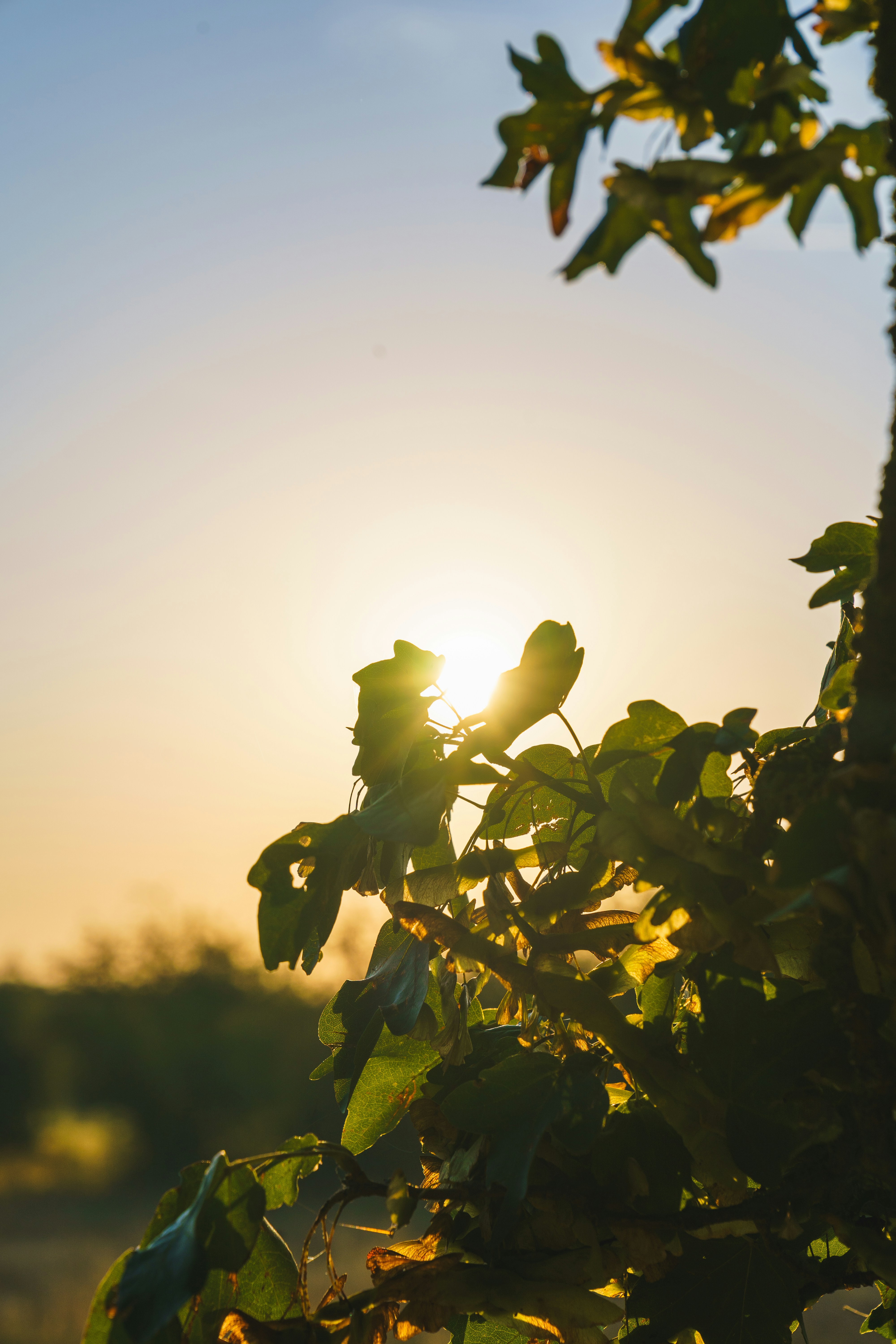 Photo by bangscreative