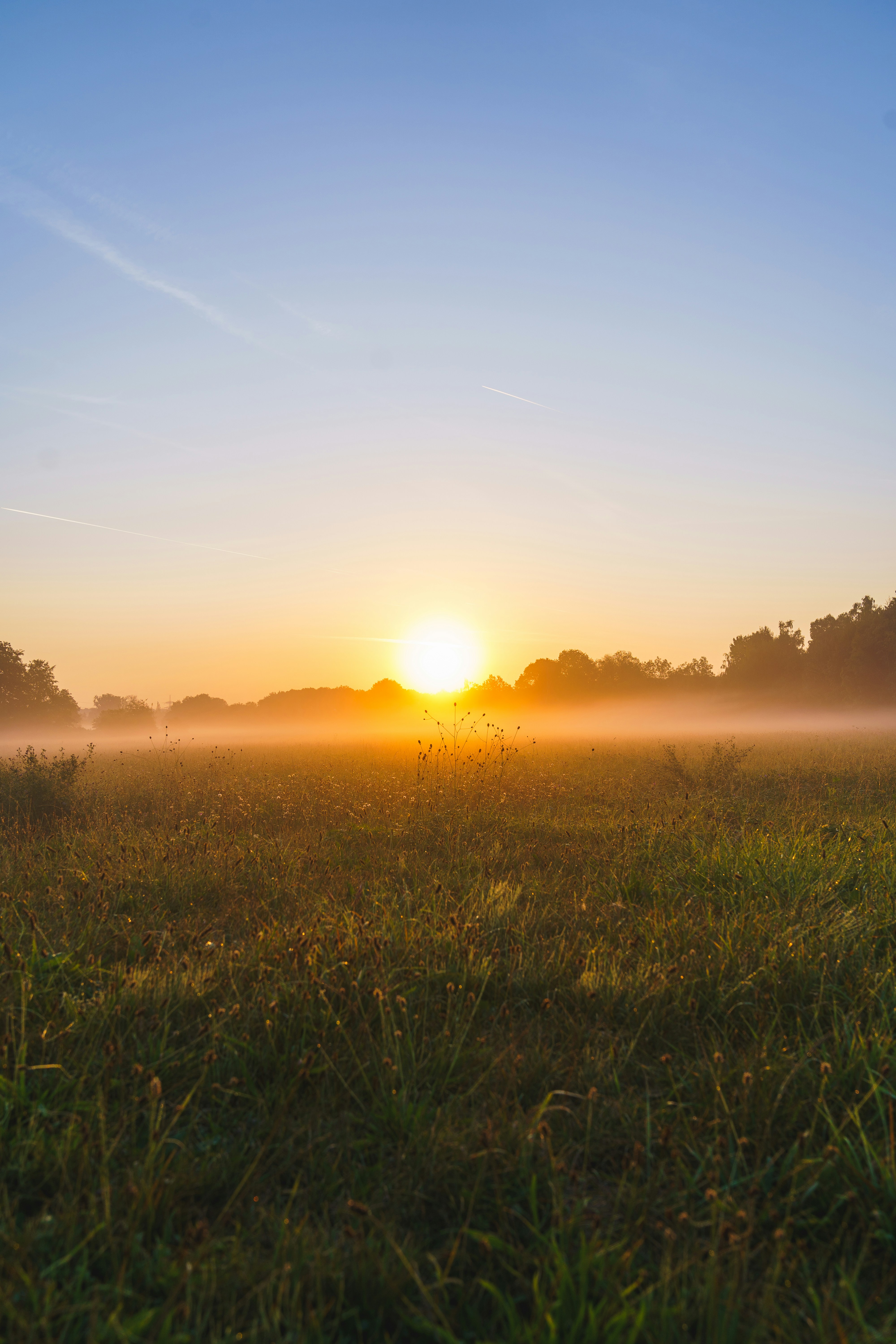 Photo by bangscreative