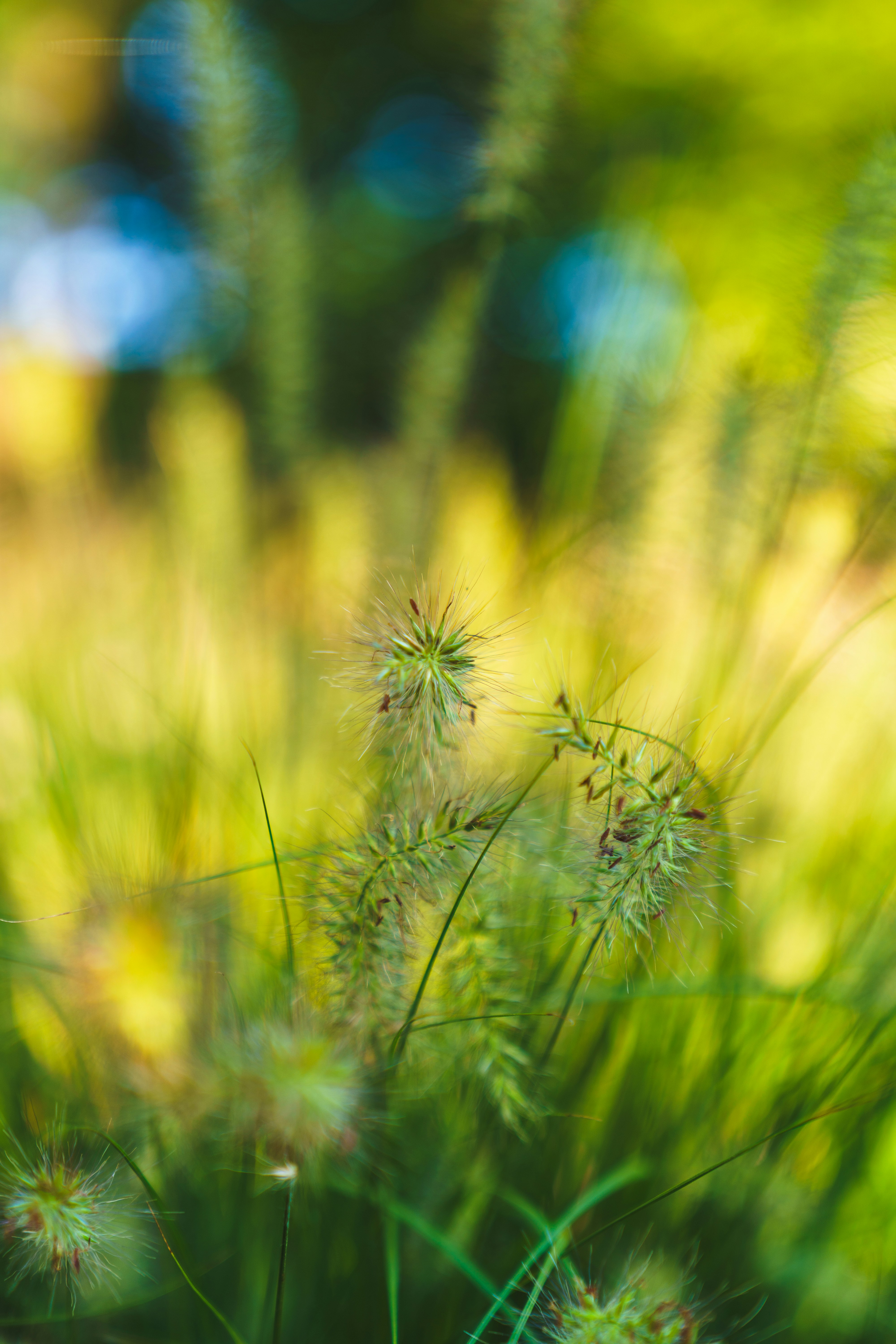 Photo by bangscreative