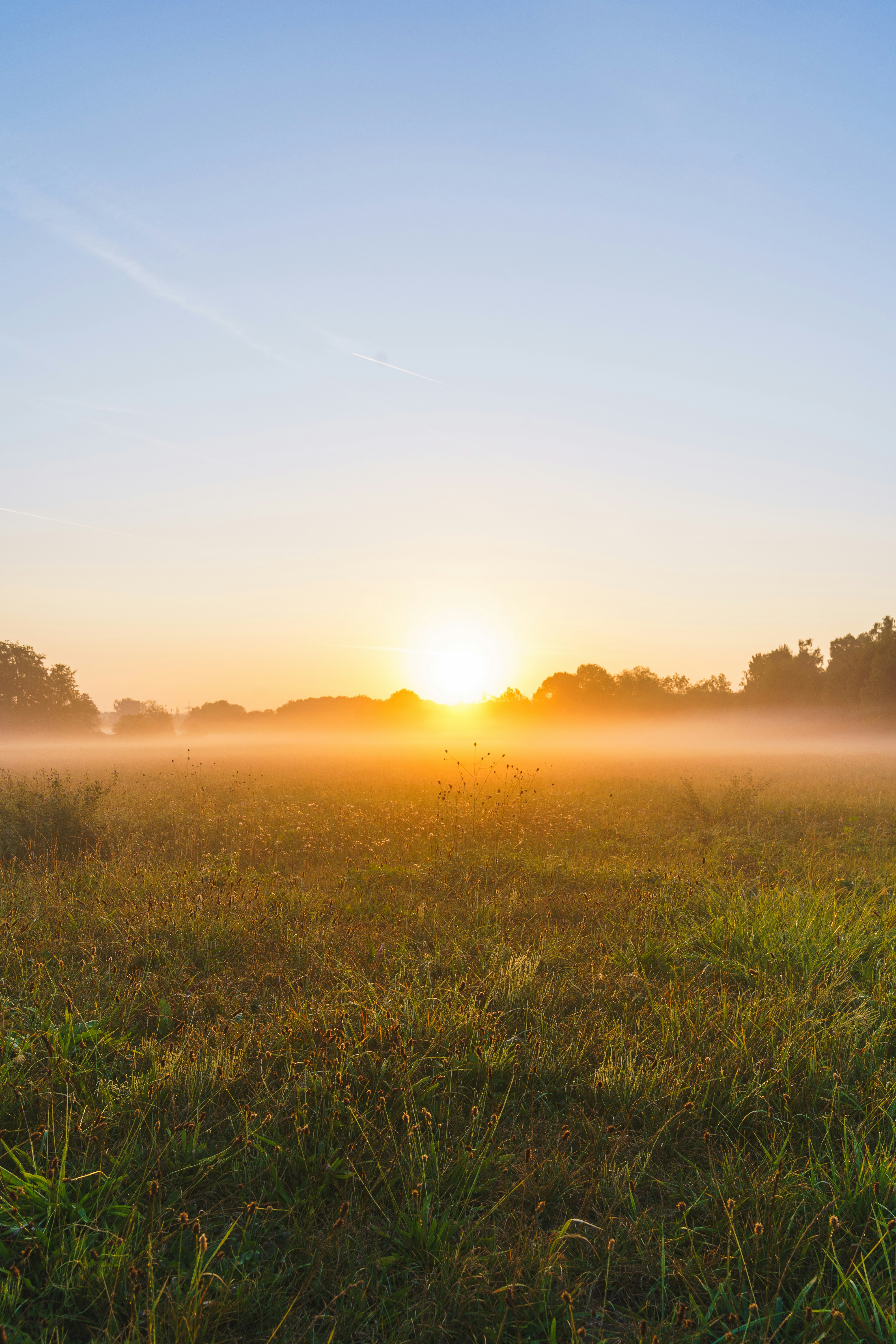 Ein nebliges Feld mit der untergehenden Sonne in der Ferne