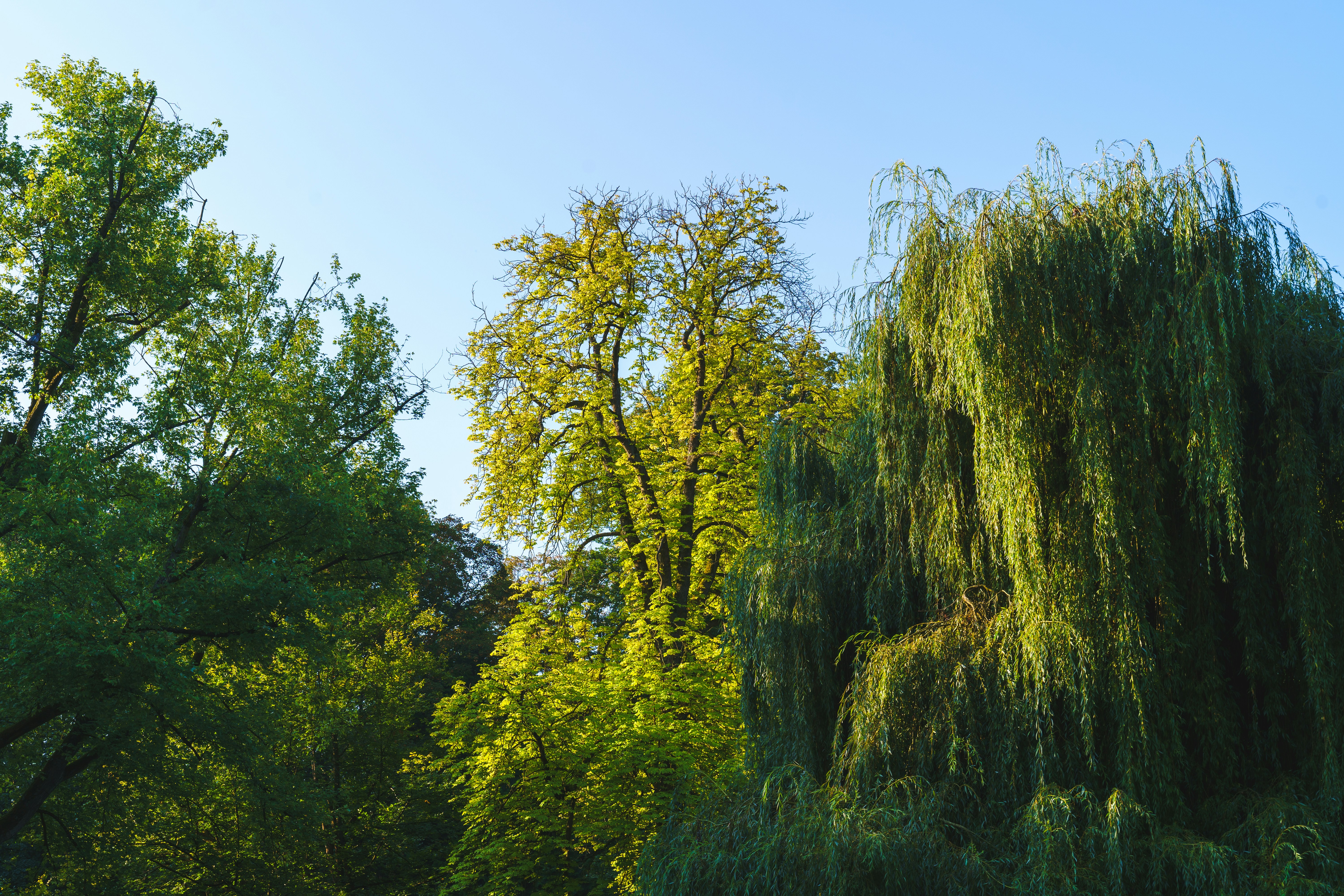 Photo by bangscreative