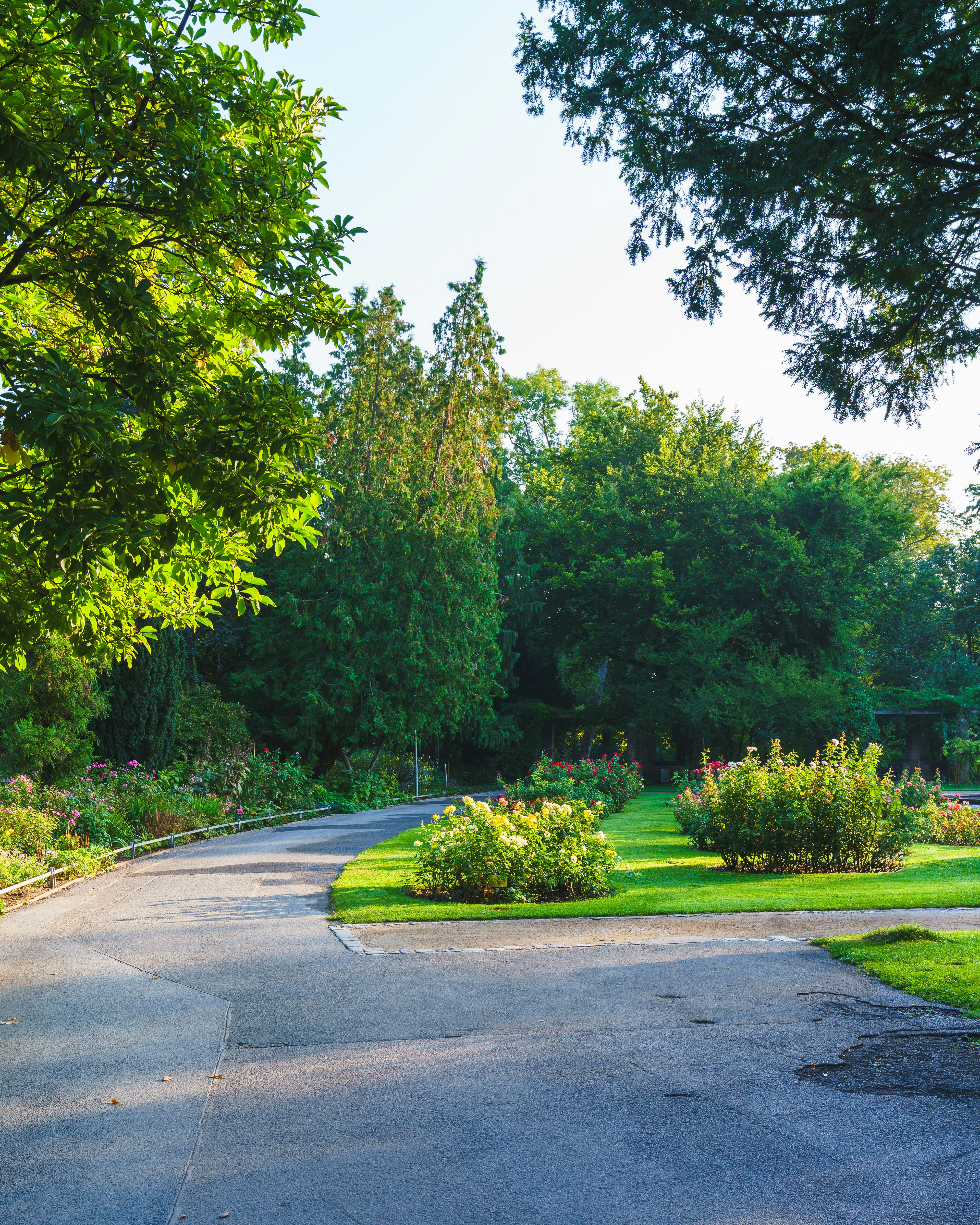 Photo by bangscreative