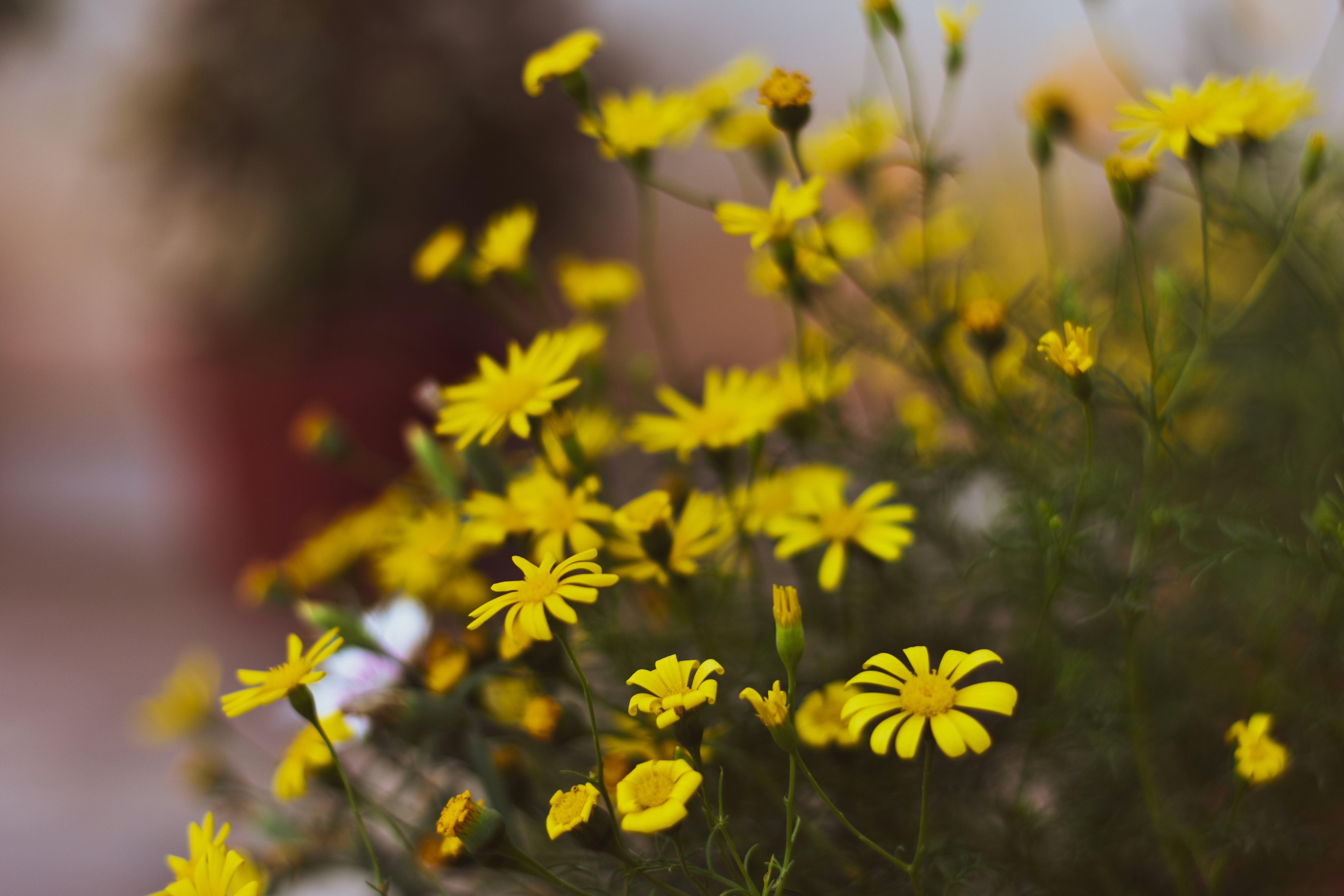 Photo by neelakshi_singh_