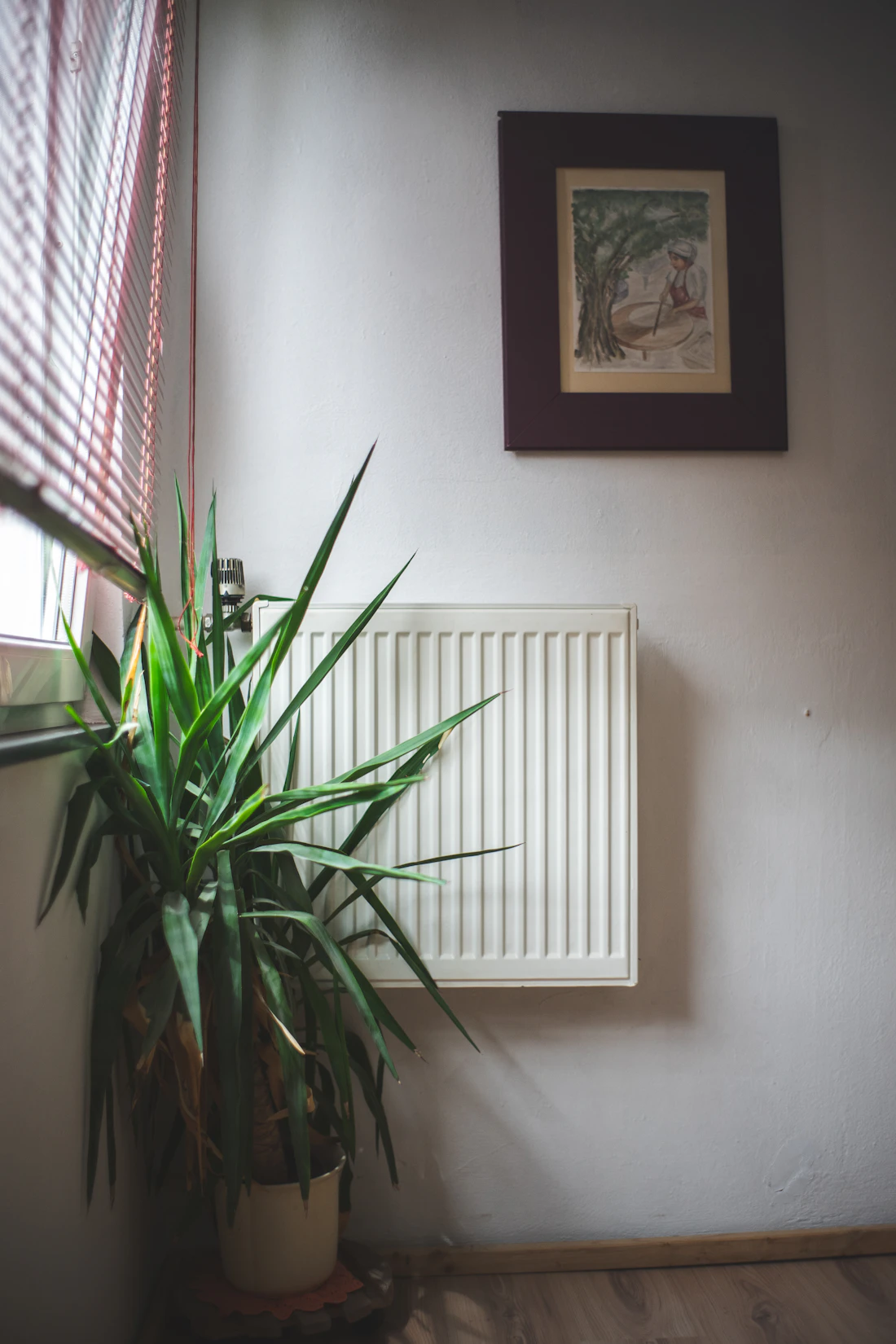 Moderns radiators siltā, mājīgā telpā — apkures sistēmu skalošana un apkope