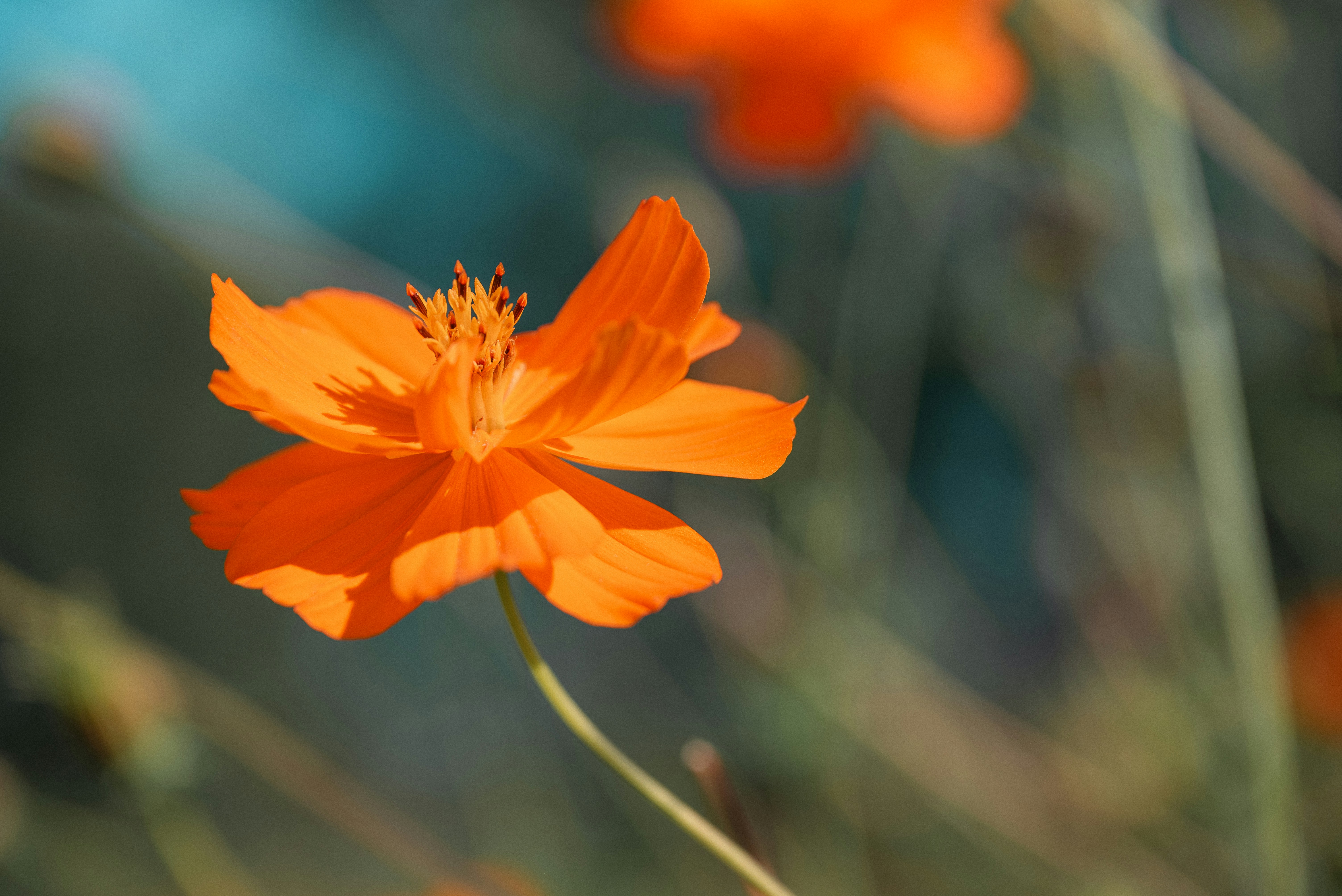 Photo by jetztabertempo