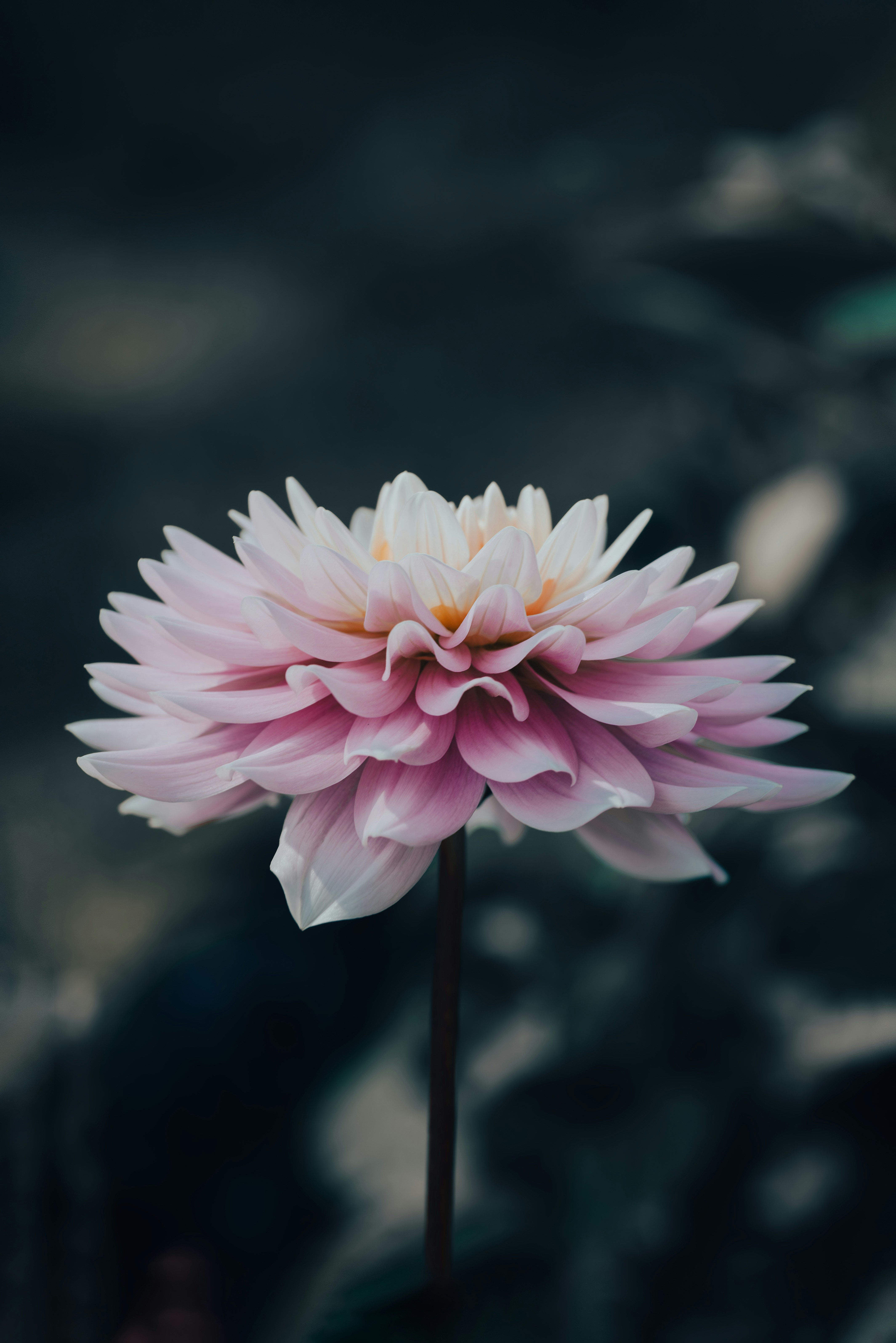 Photo by jetztabertempo