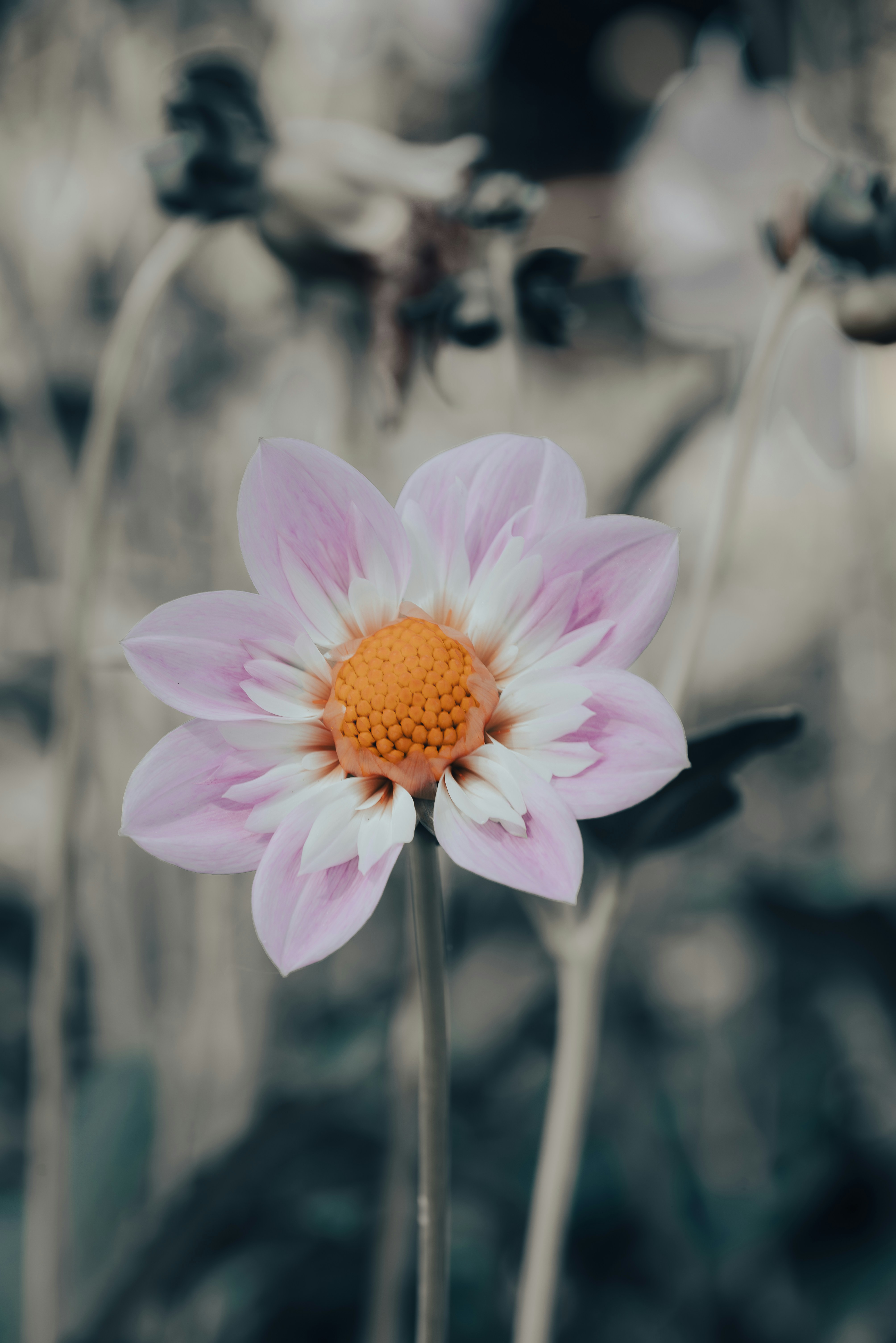 Photo by jetztabertempo