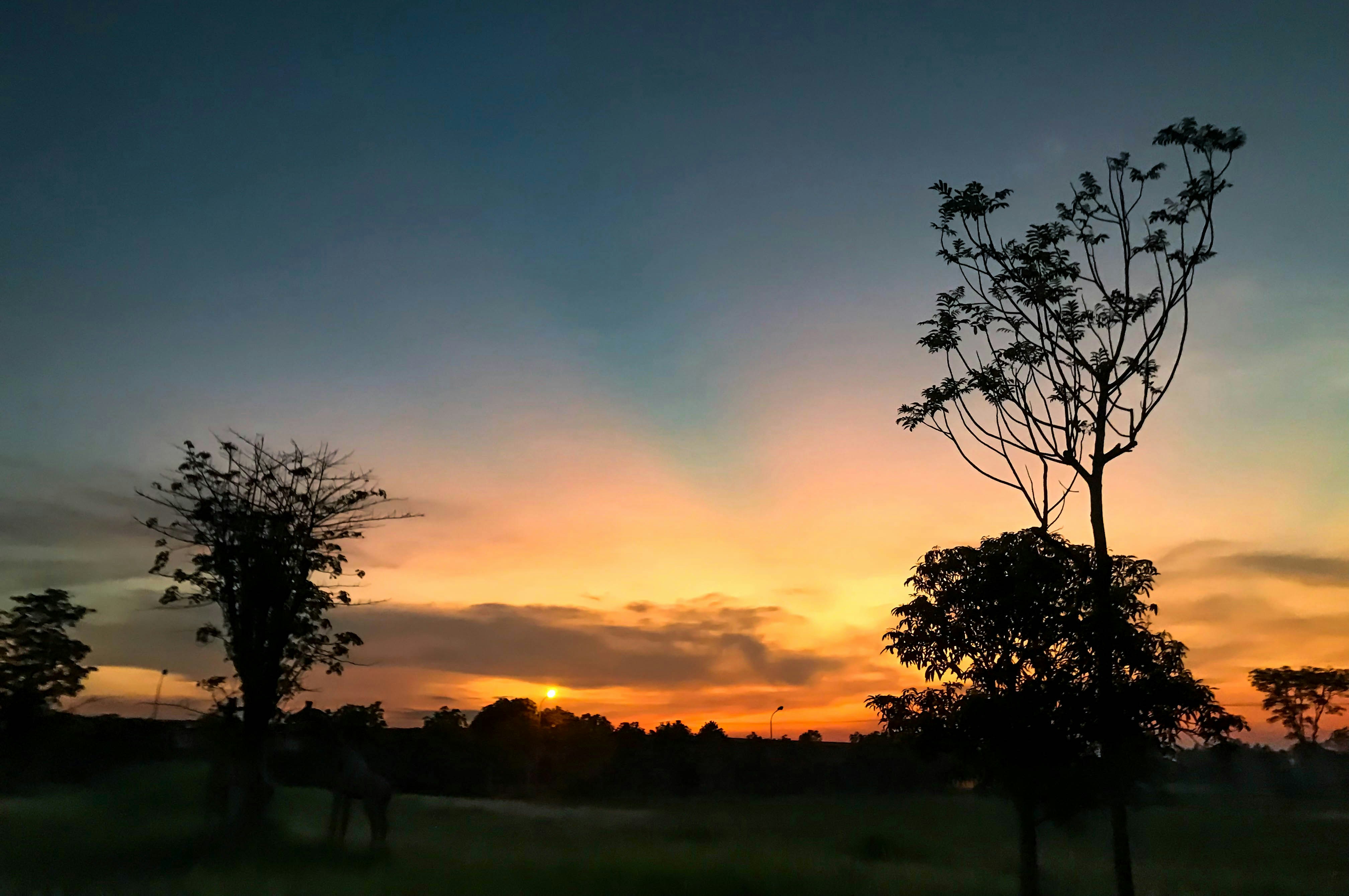 Photo by josephinenguyen