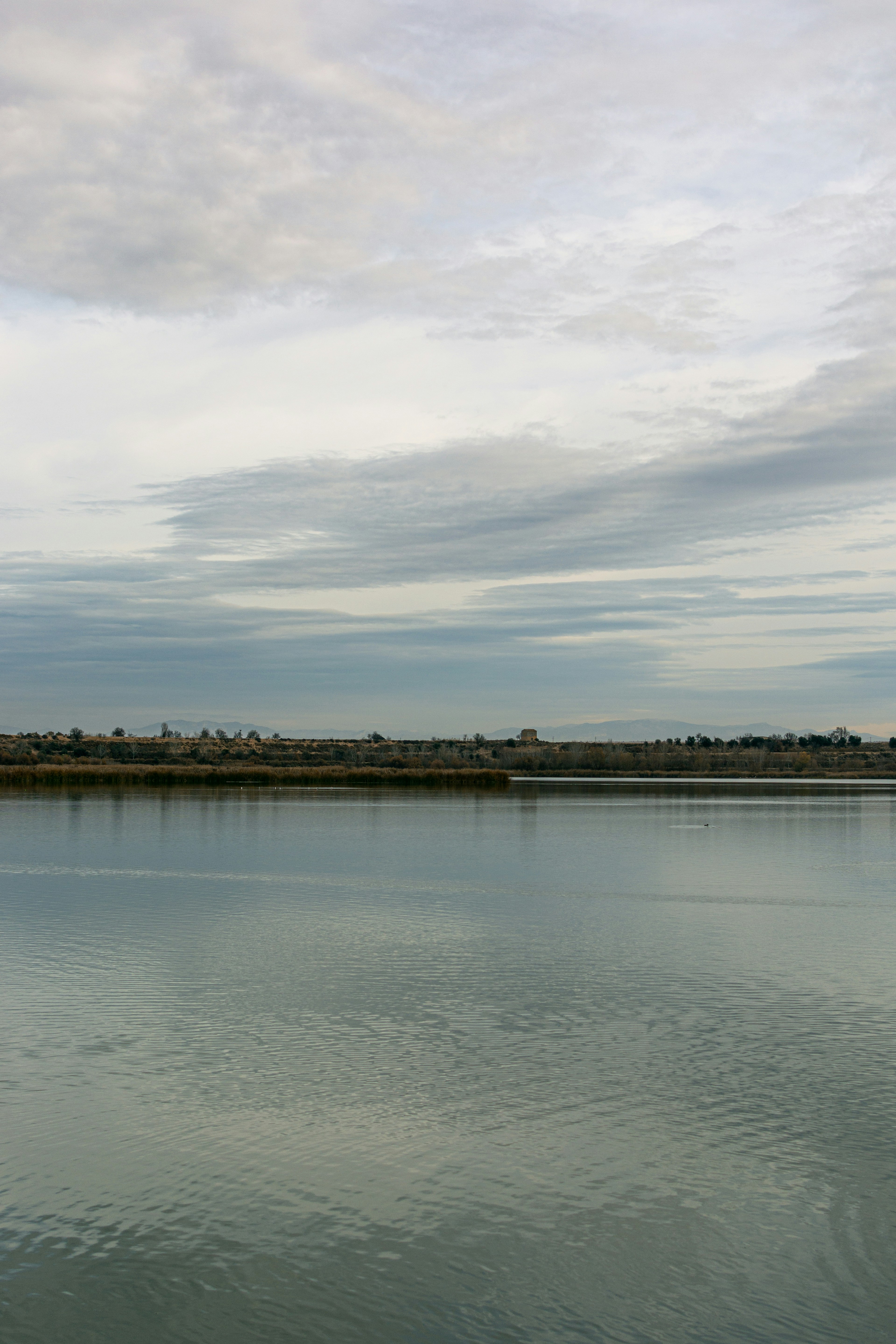 Containers in Seabeck, WA