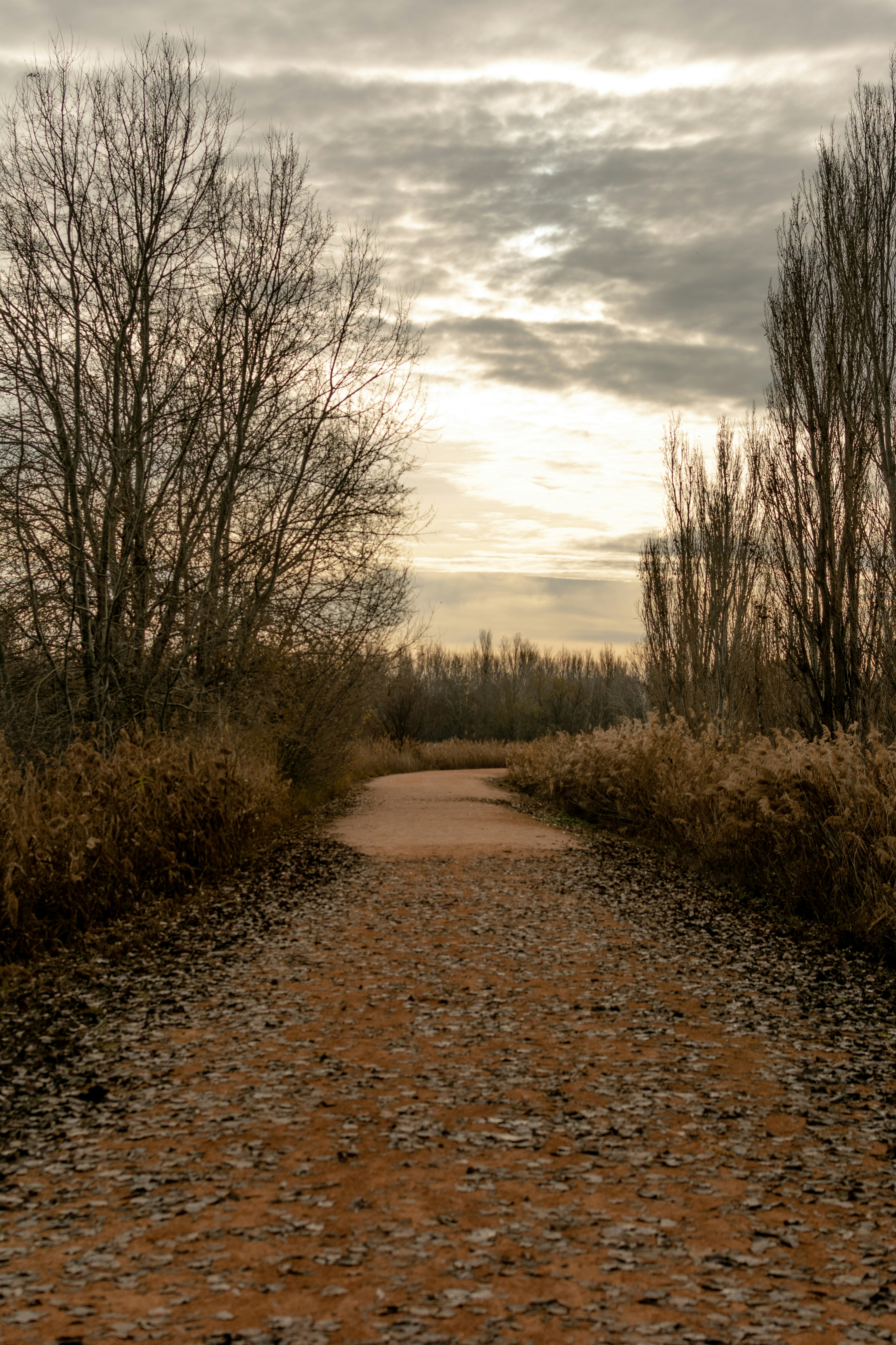 Top 10 Empresas de software para negocios en Lérida