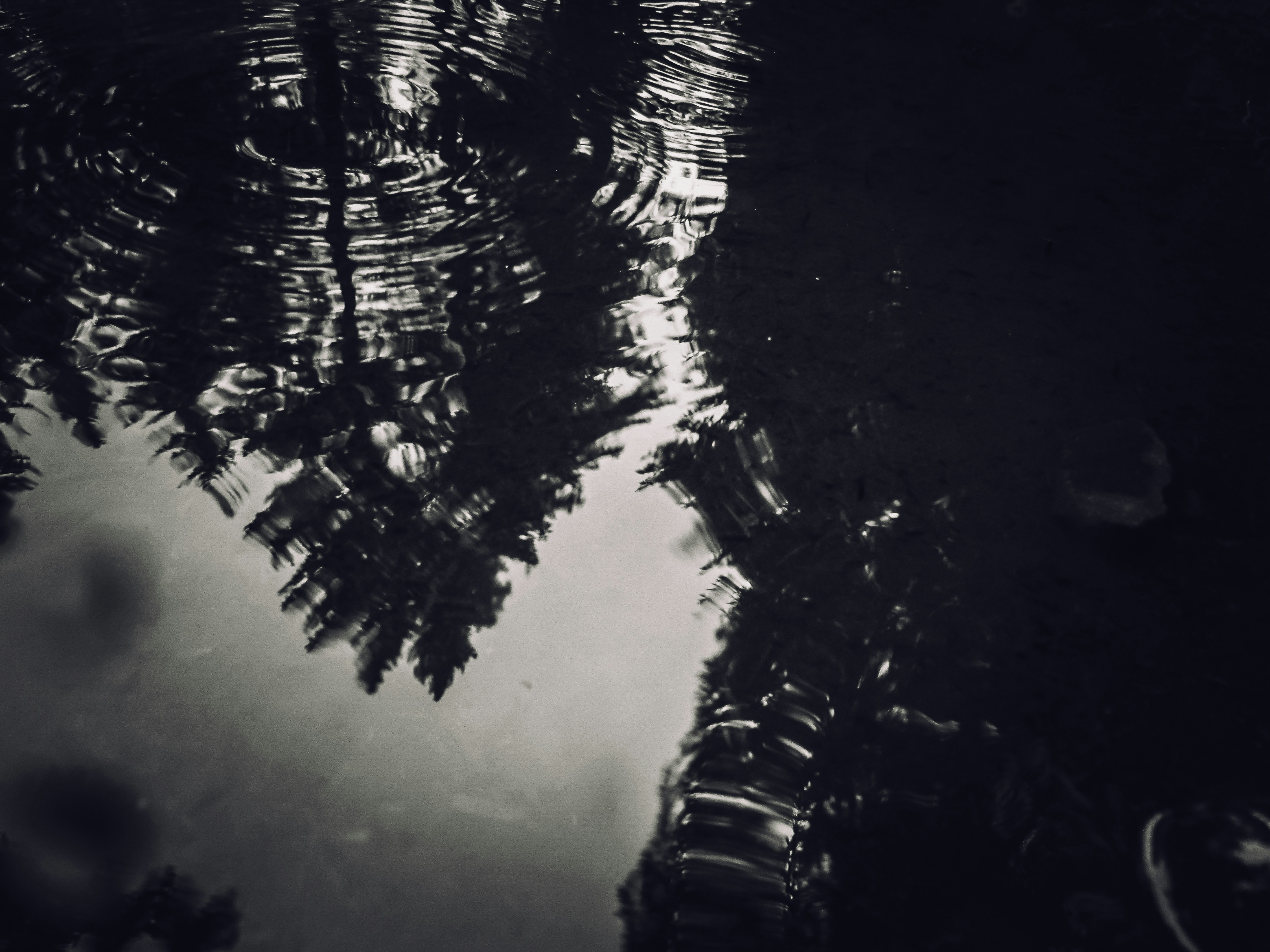 We Best Love: No. 1 For You