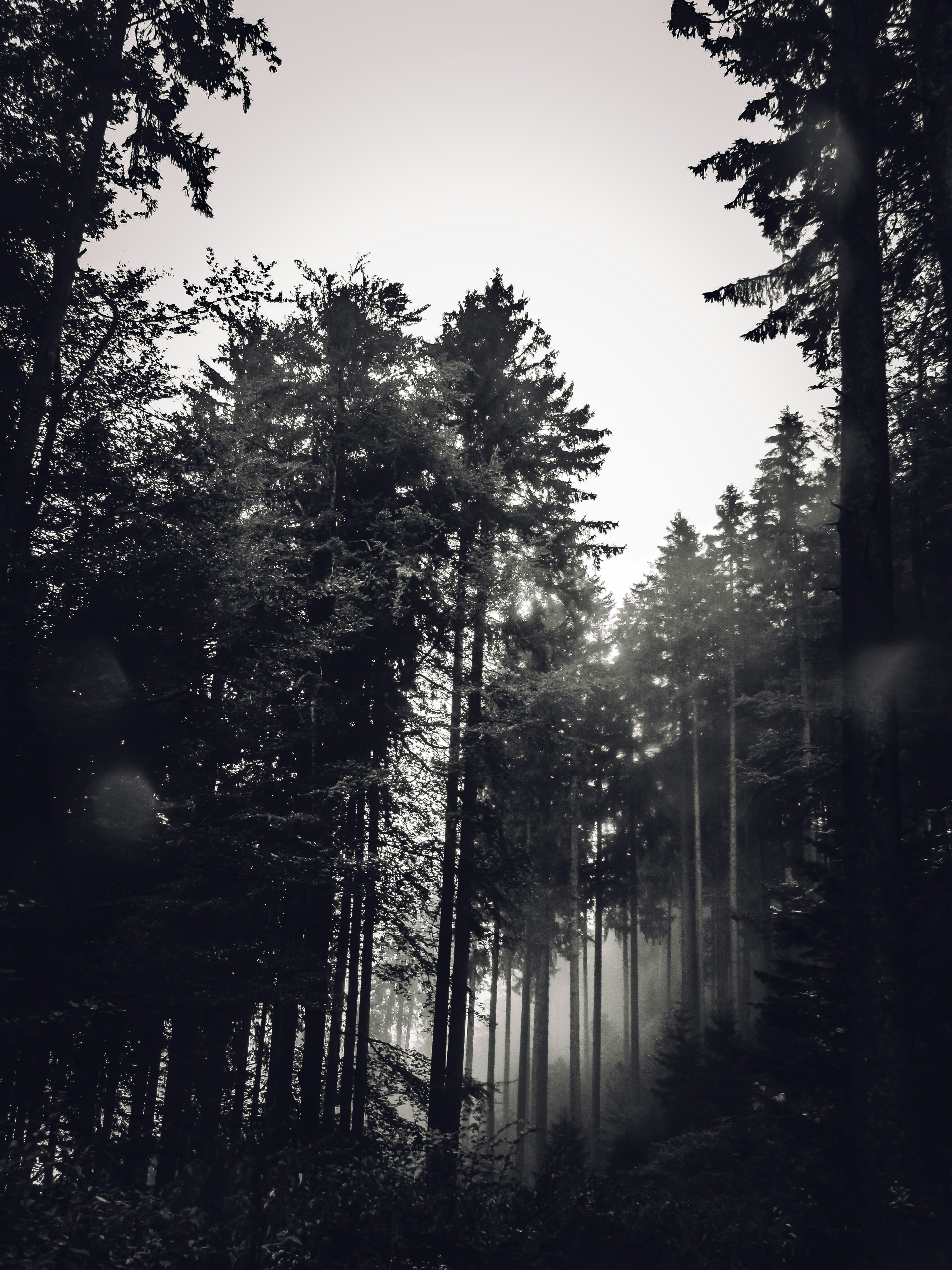 Photo by camelcazacu