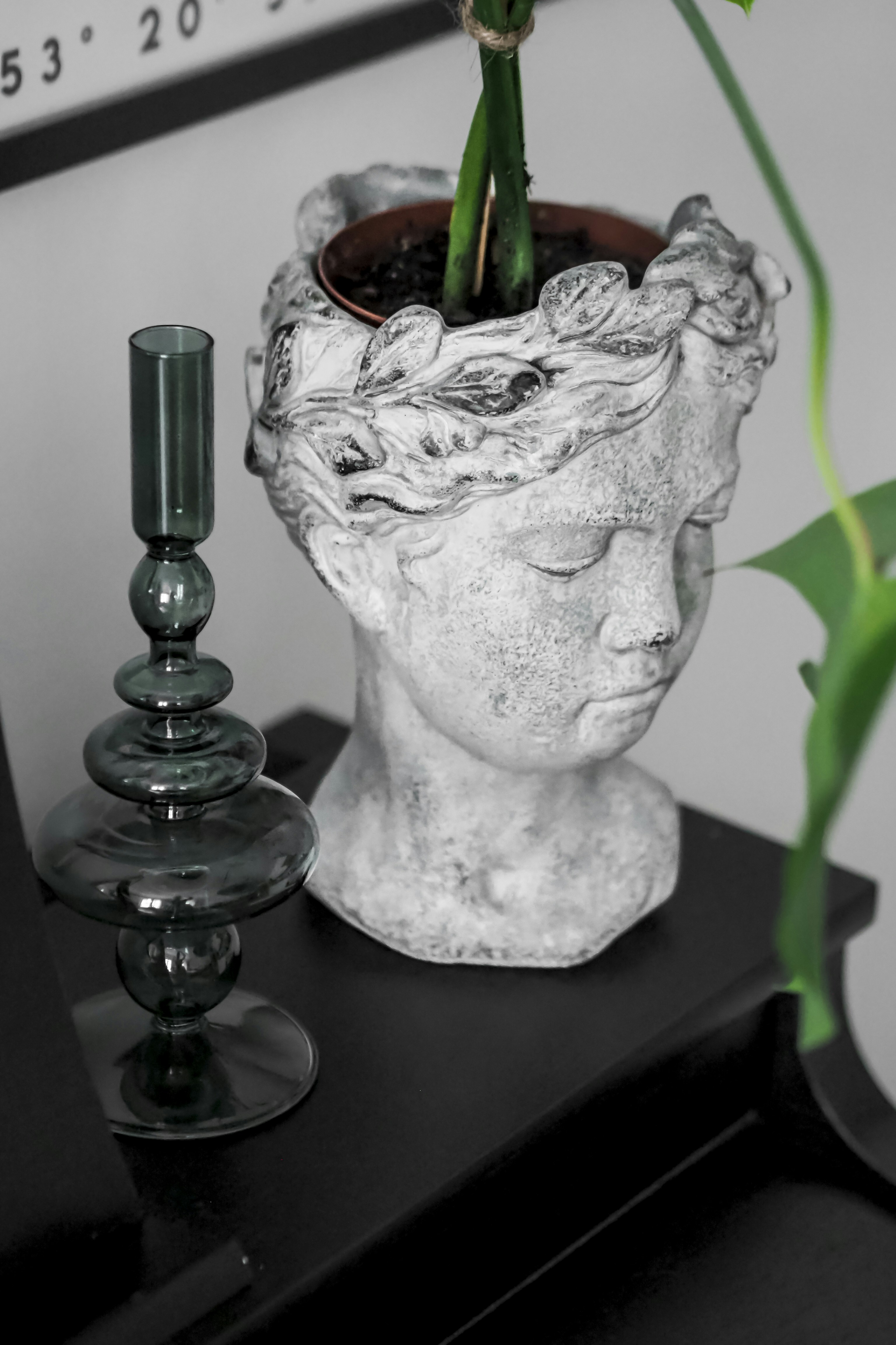 Photo by laurachouette