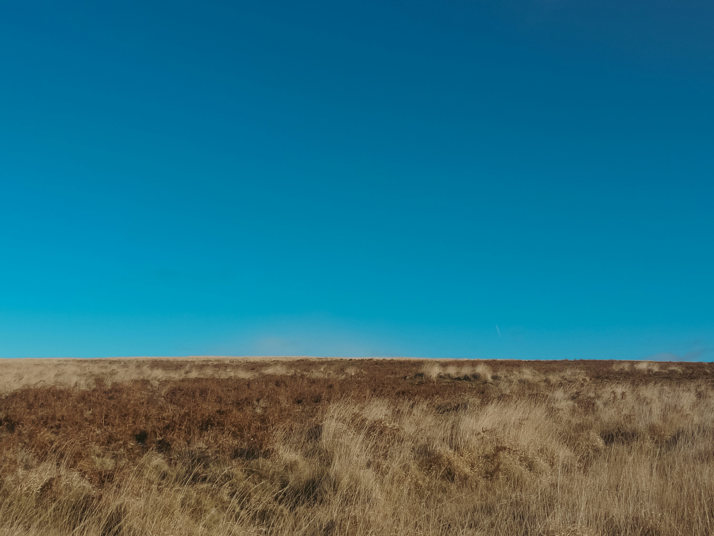 Photo by utterlyspellbound